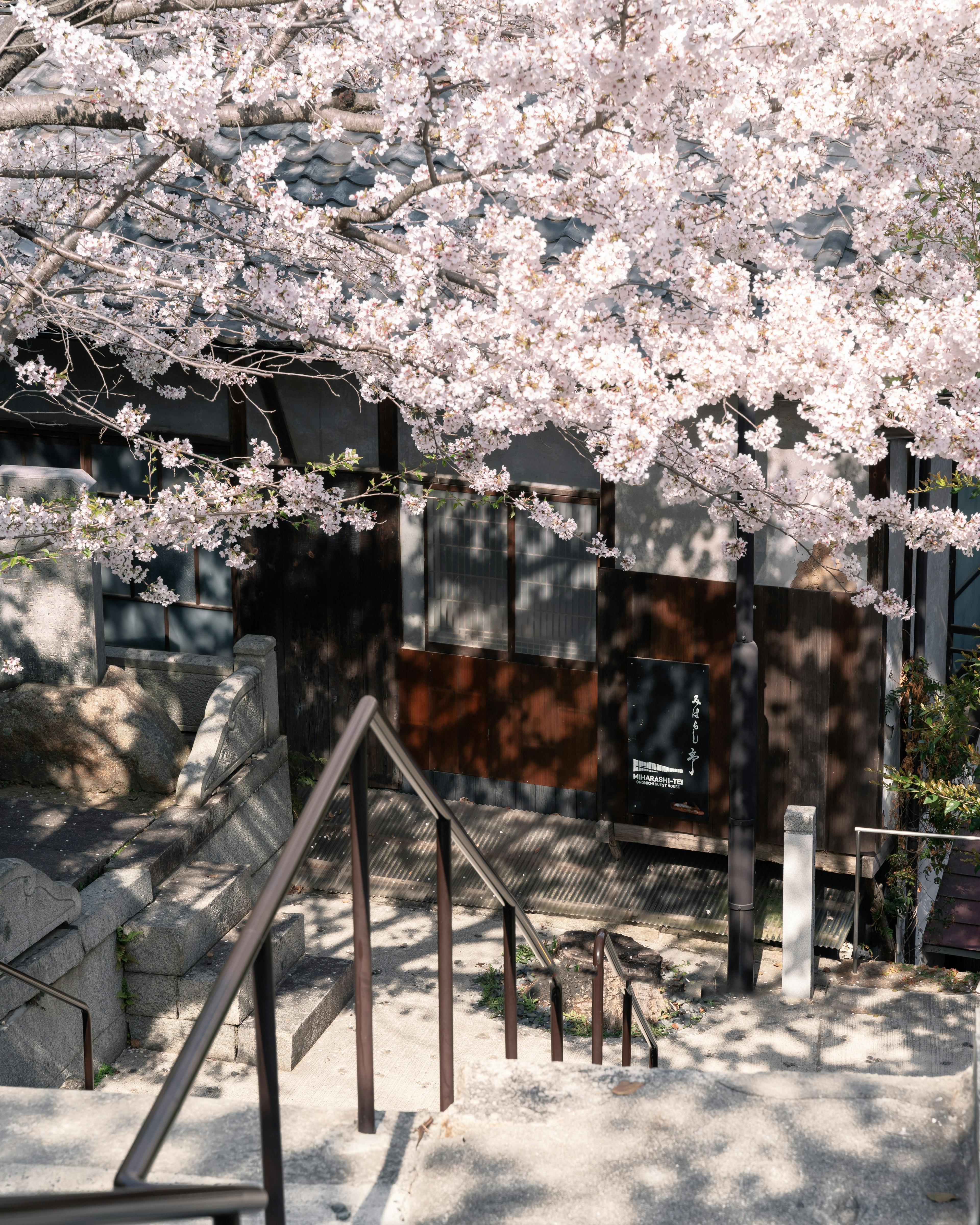 Staircase adorned with blooming cherry blossoms near an old building and stone wall