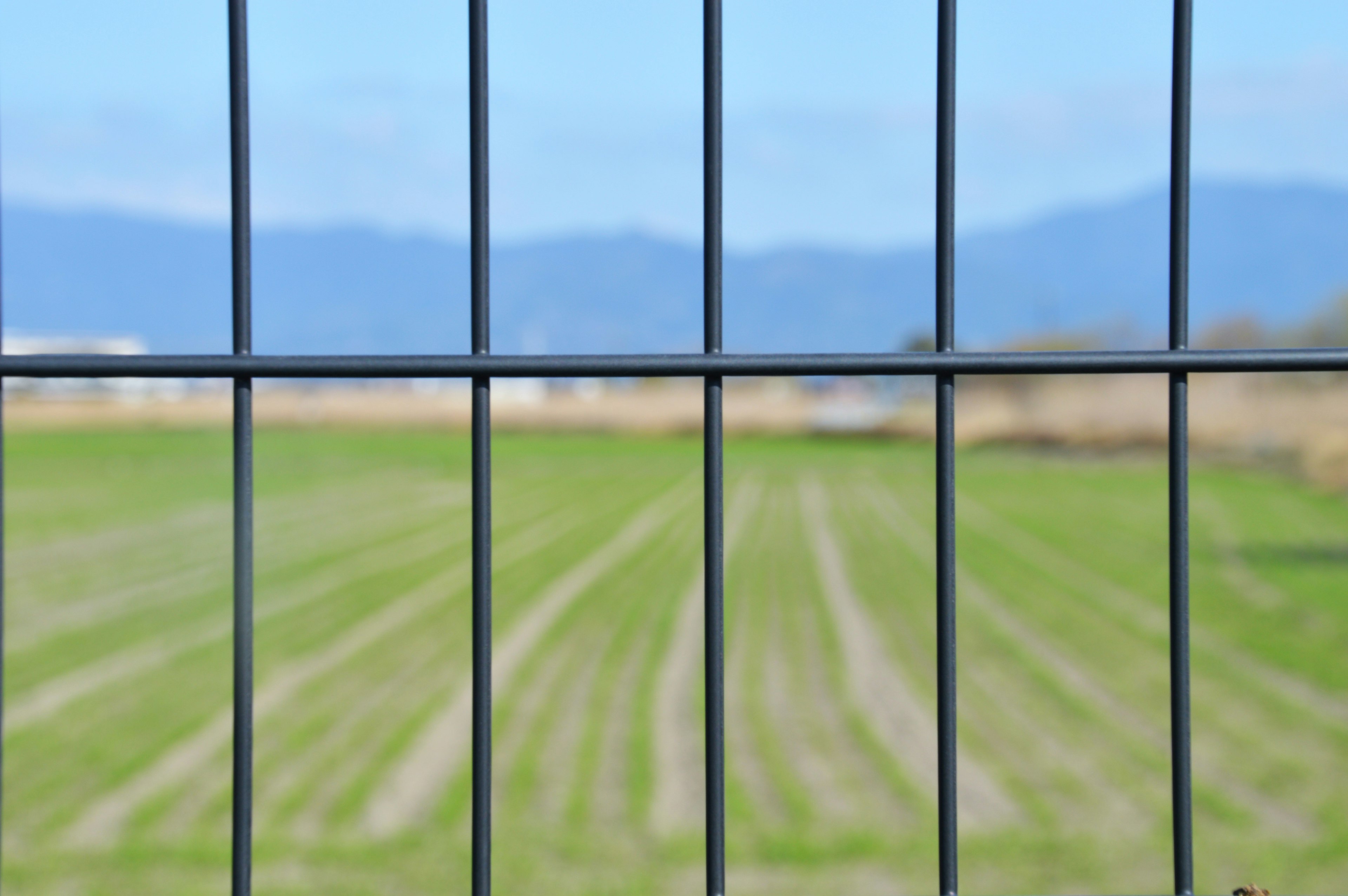 Green farmland and blue sky seen through a black fence