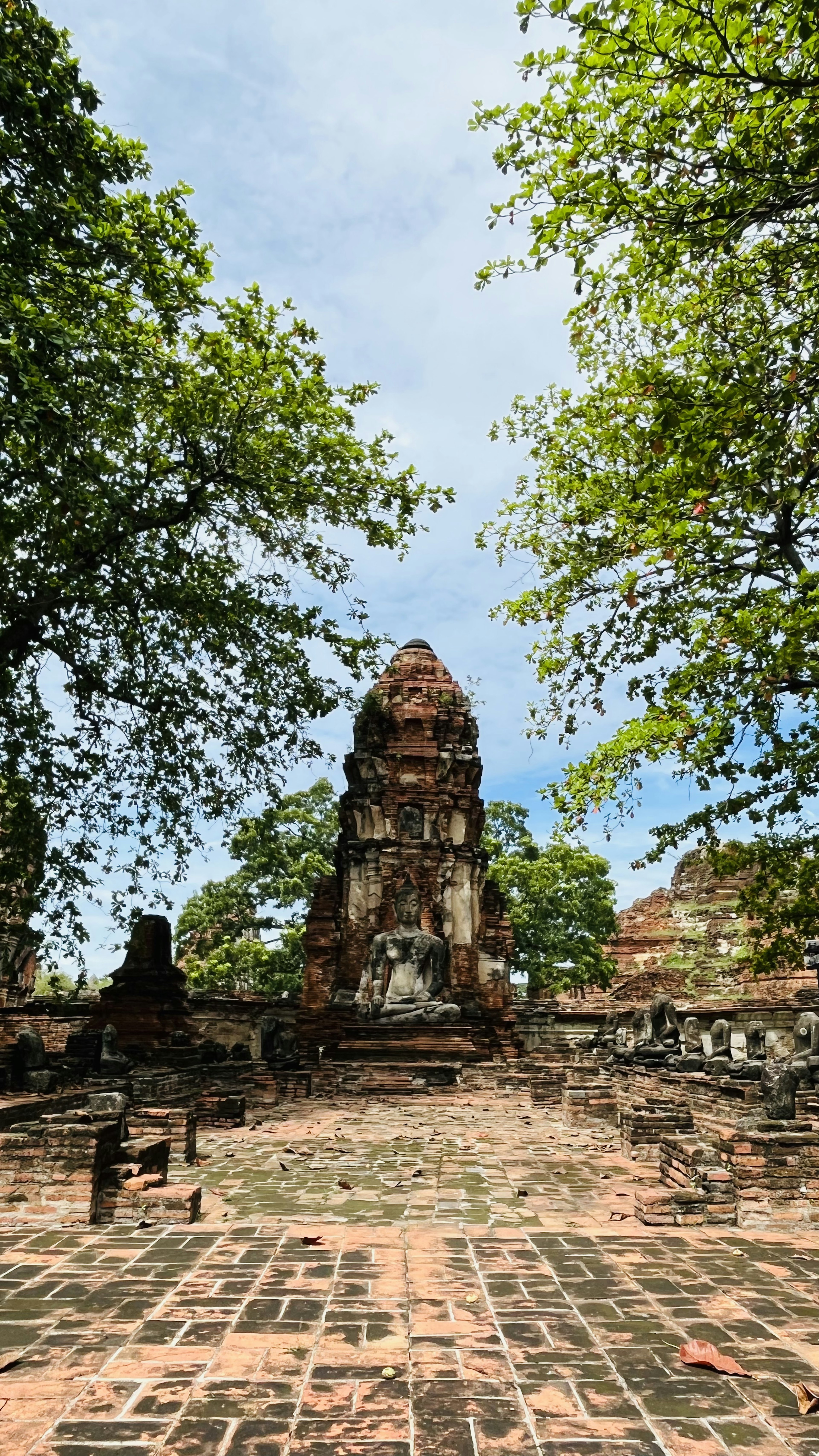 Ruines d'un ancien temple entourées de verdure luxuriante