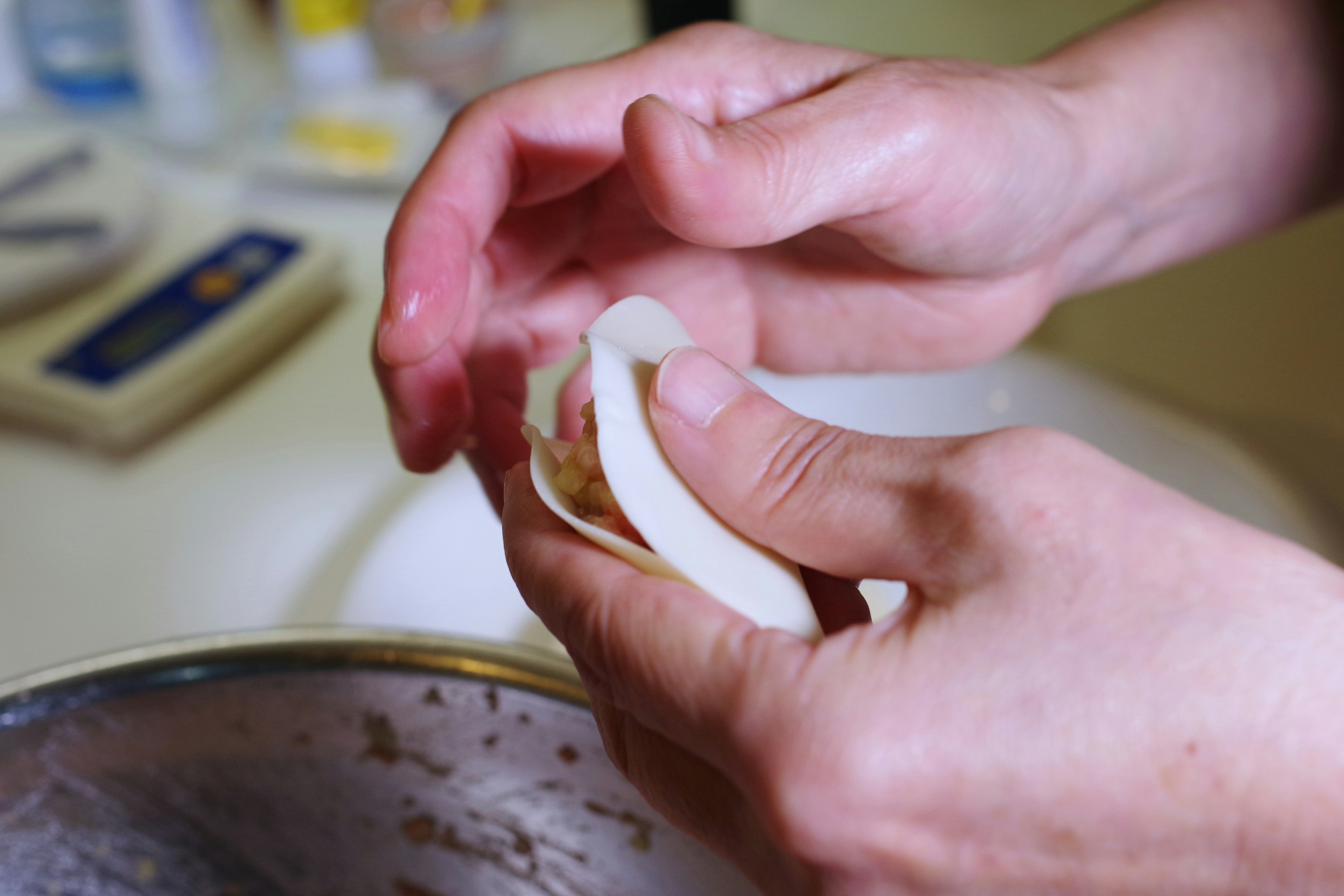 Hands holding a dumpling wrapper preparing to fill