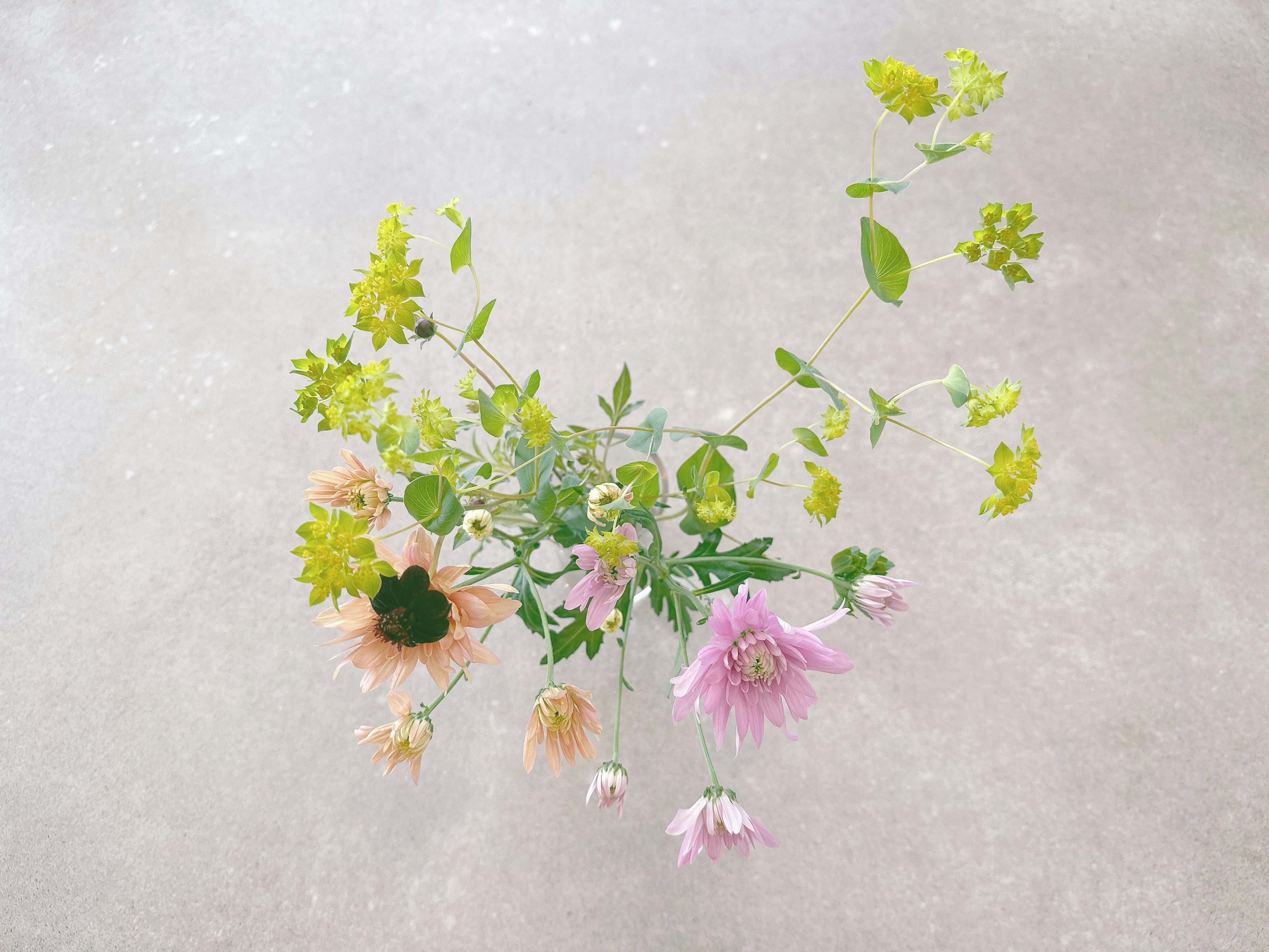 Colorful arrangement of flowers and green leaves