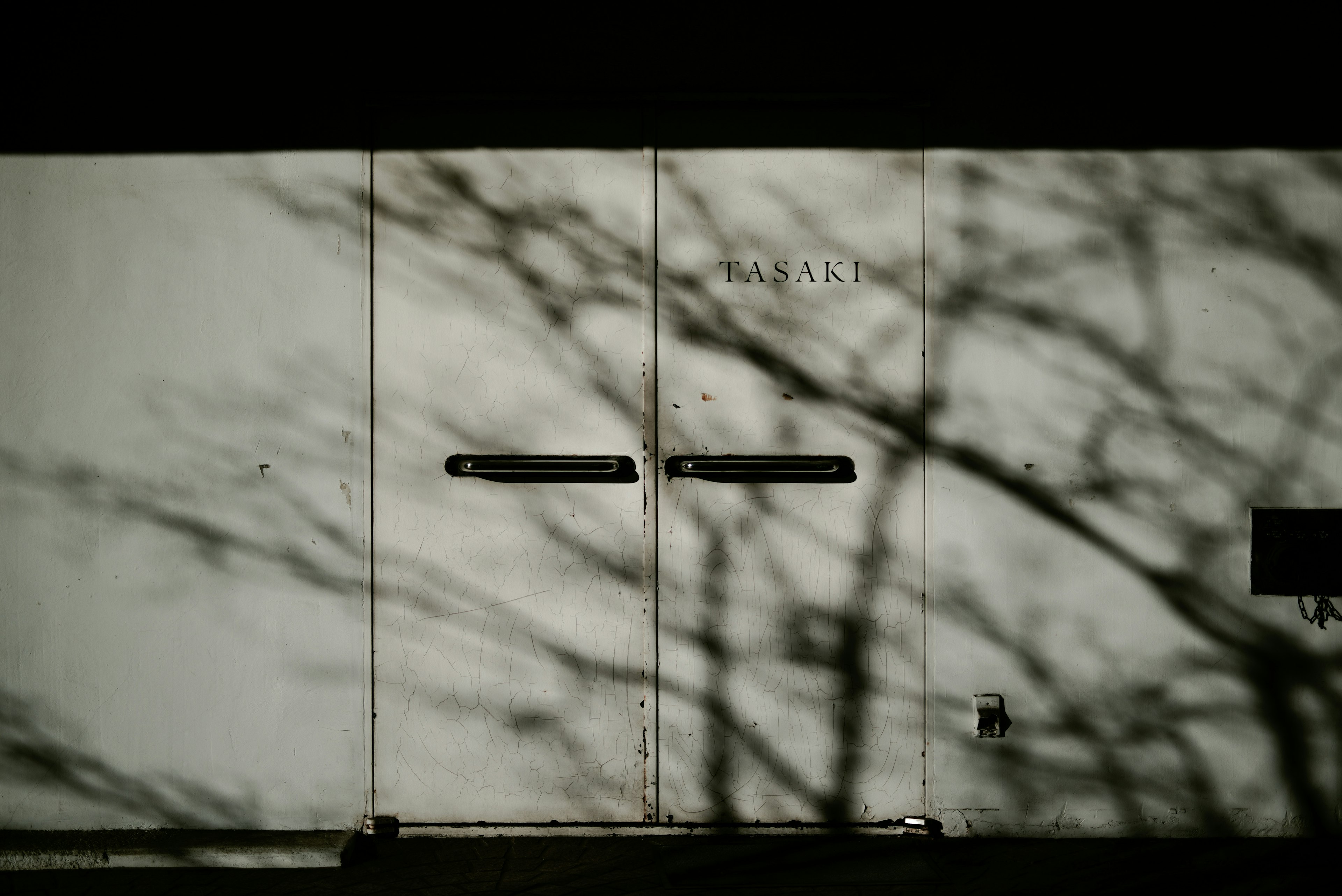 Portes blanches avec des ombres de branches