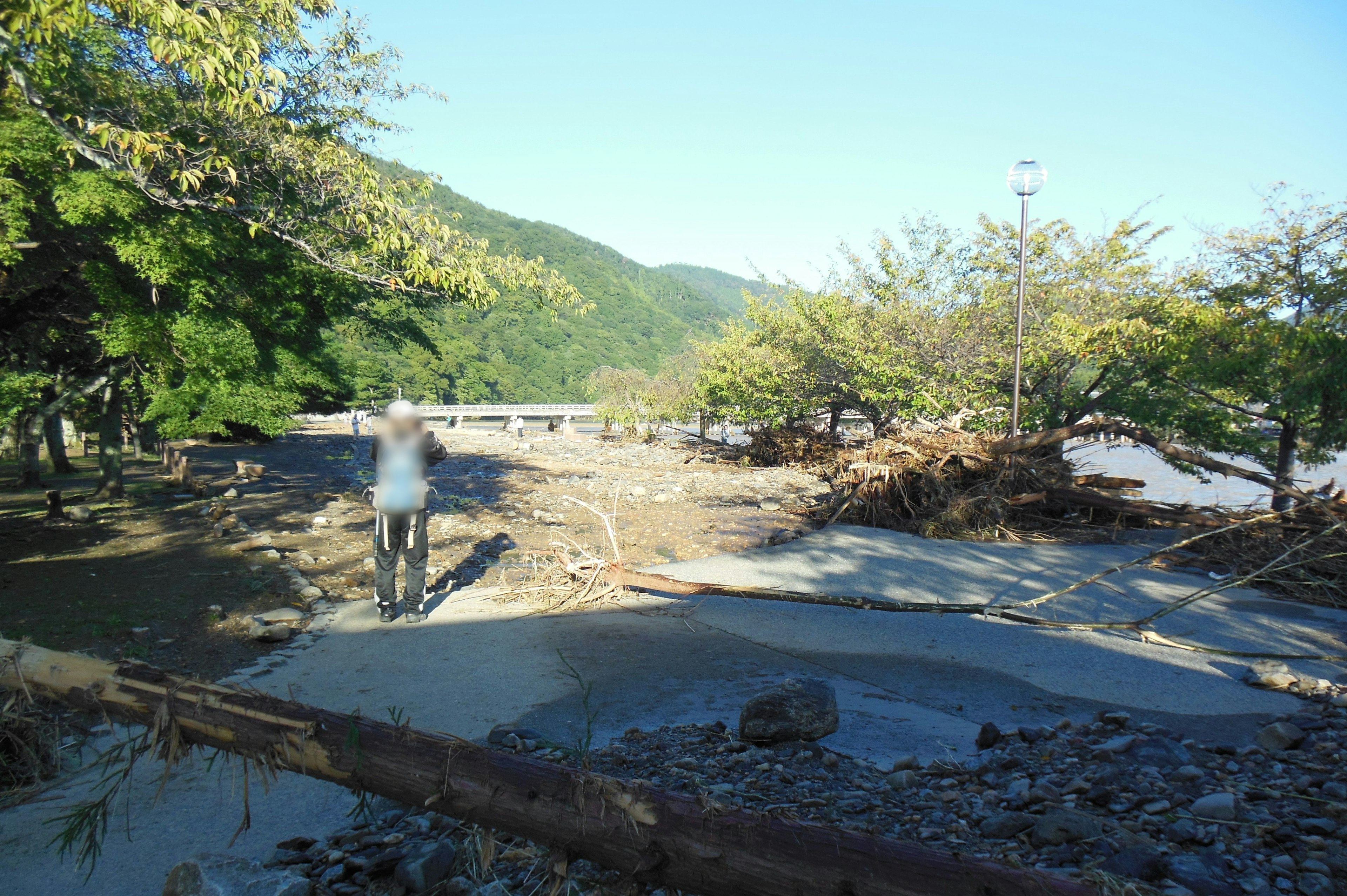 Vista escénica de la orilla de un río con escombros y árboles dispersos en un área montañosa