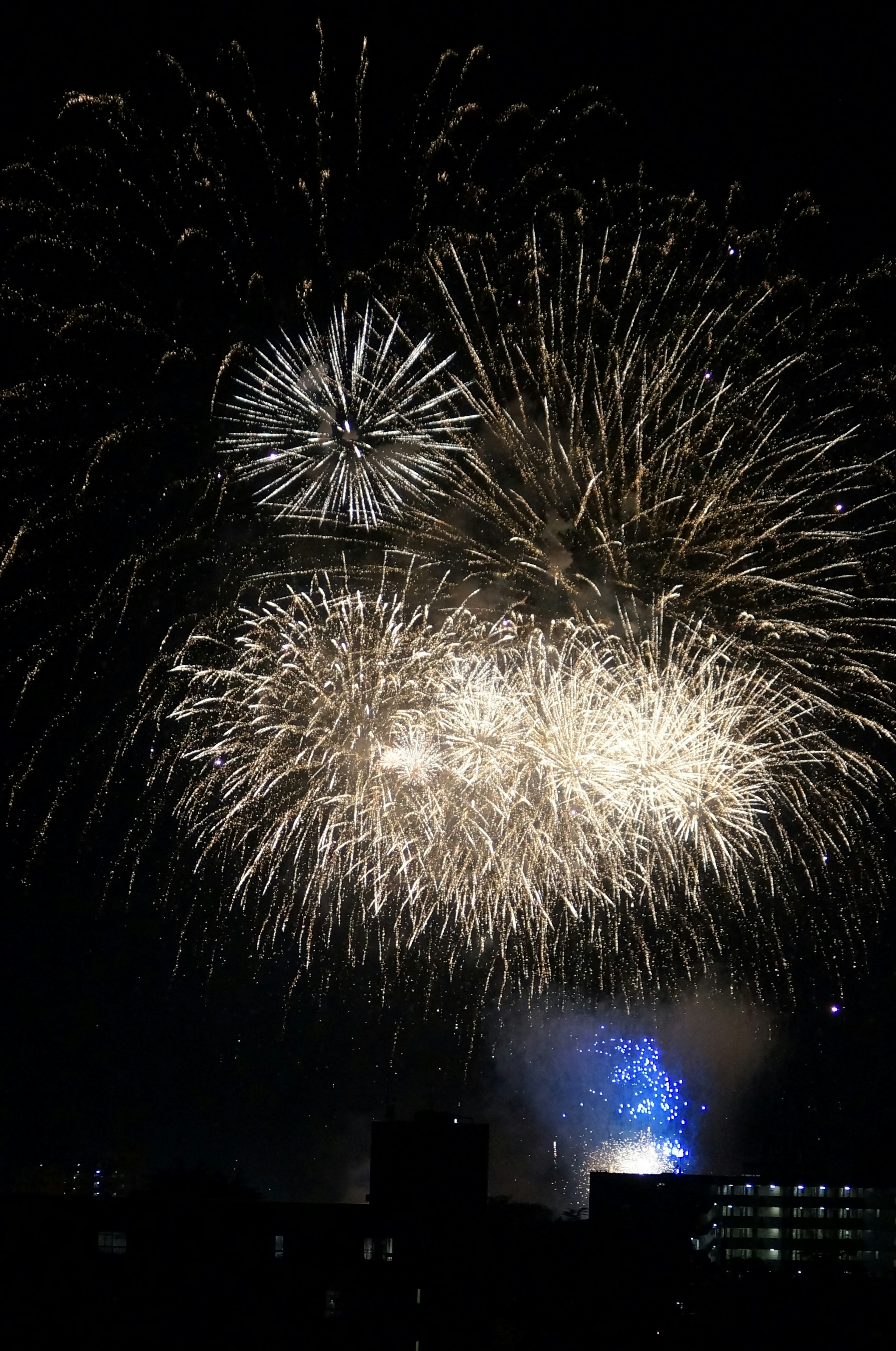 Magnifique spectacle de feux d'artifice dans le ciel nocturne