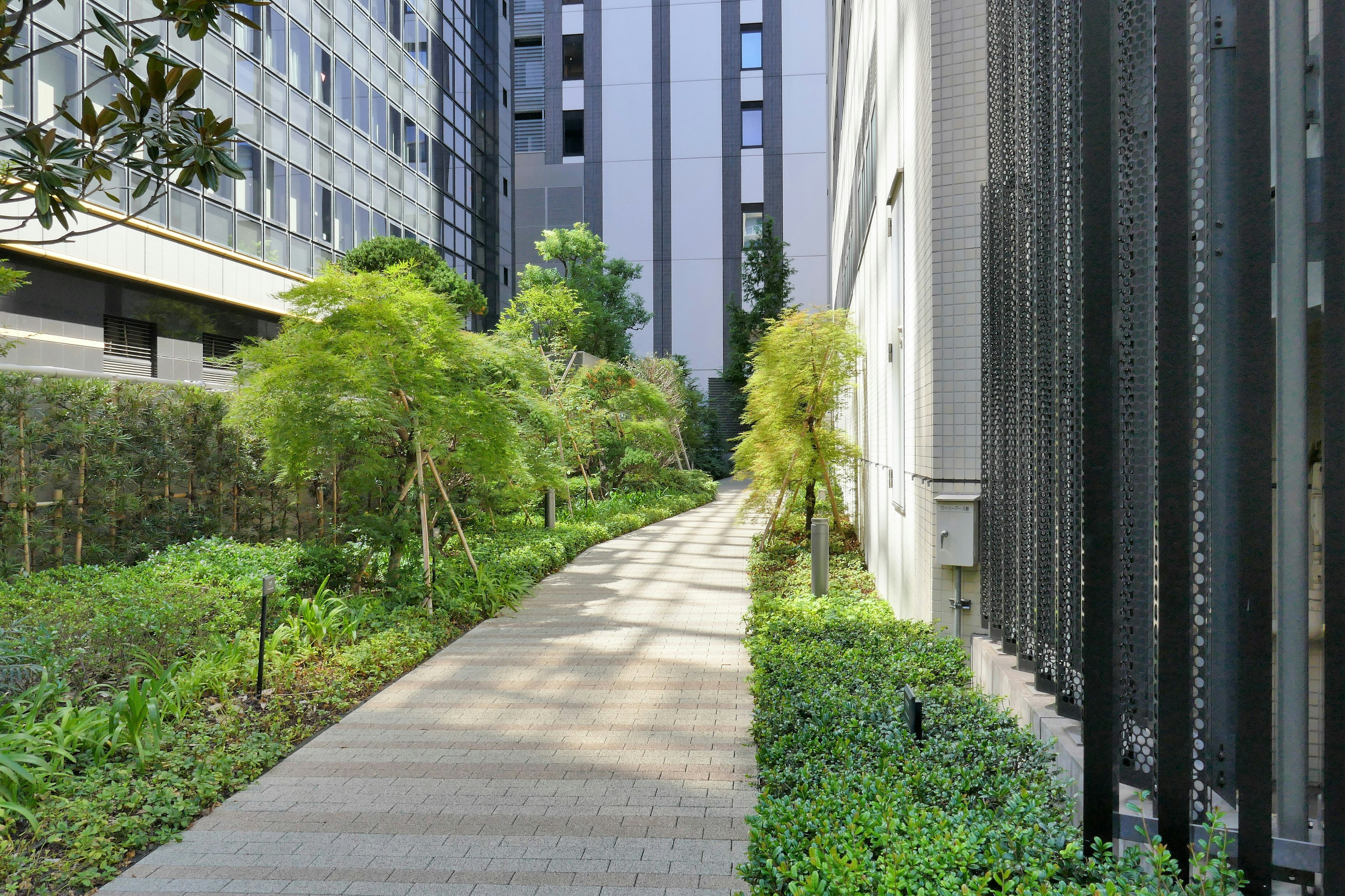 Paysage urbain avec un jardin luxuriant et un chemin pavé