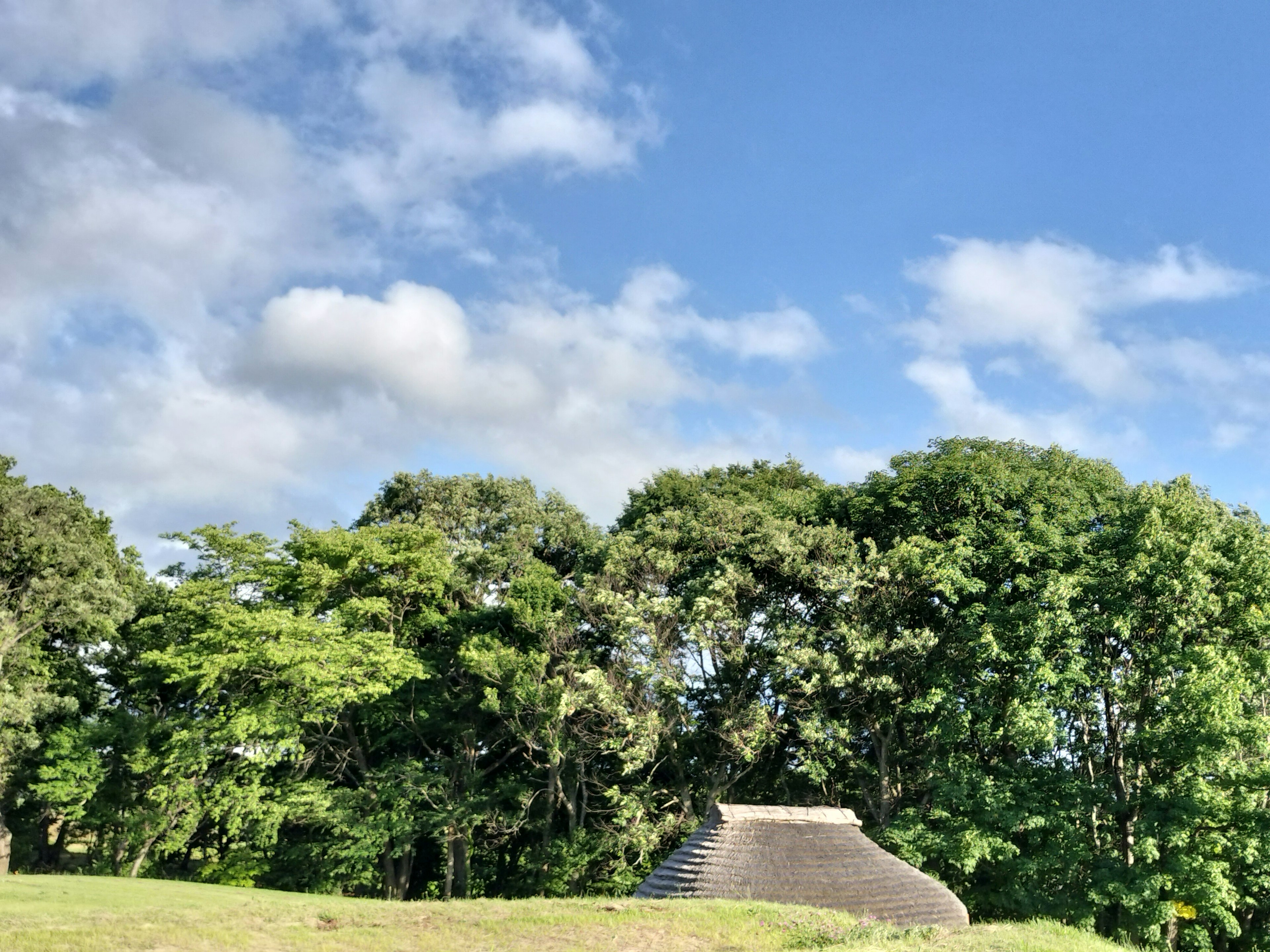 青空の下に茅葺き屋根の小屋と緑の木々