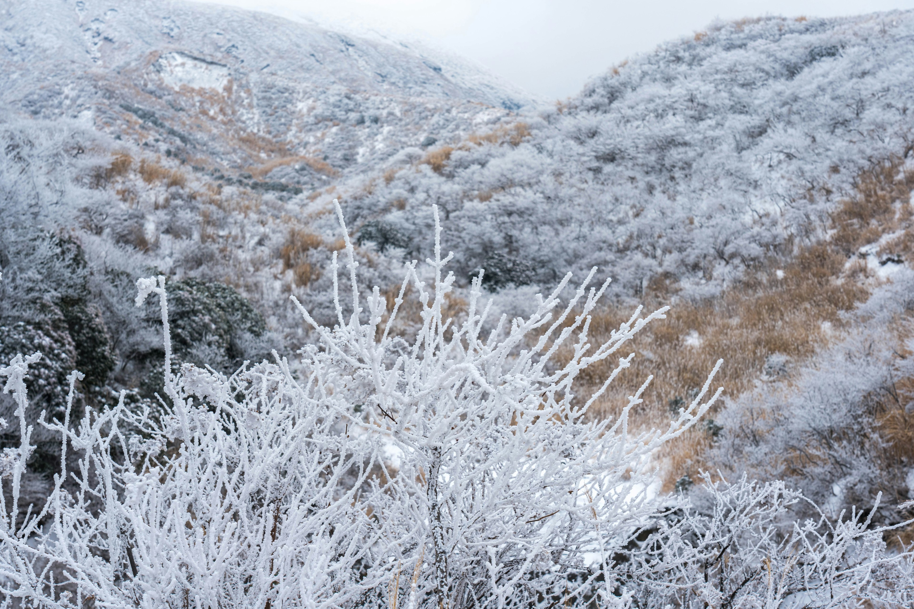 Snow-covered mountains with frosted trees in a winter landscape