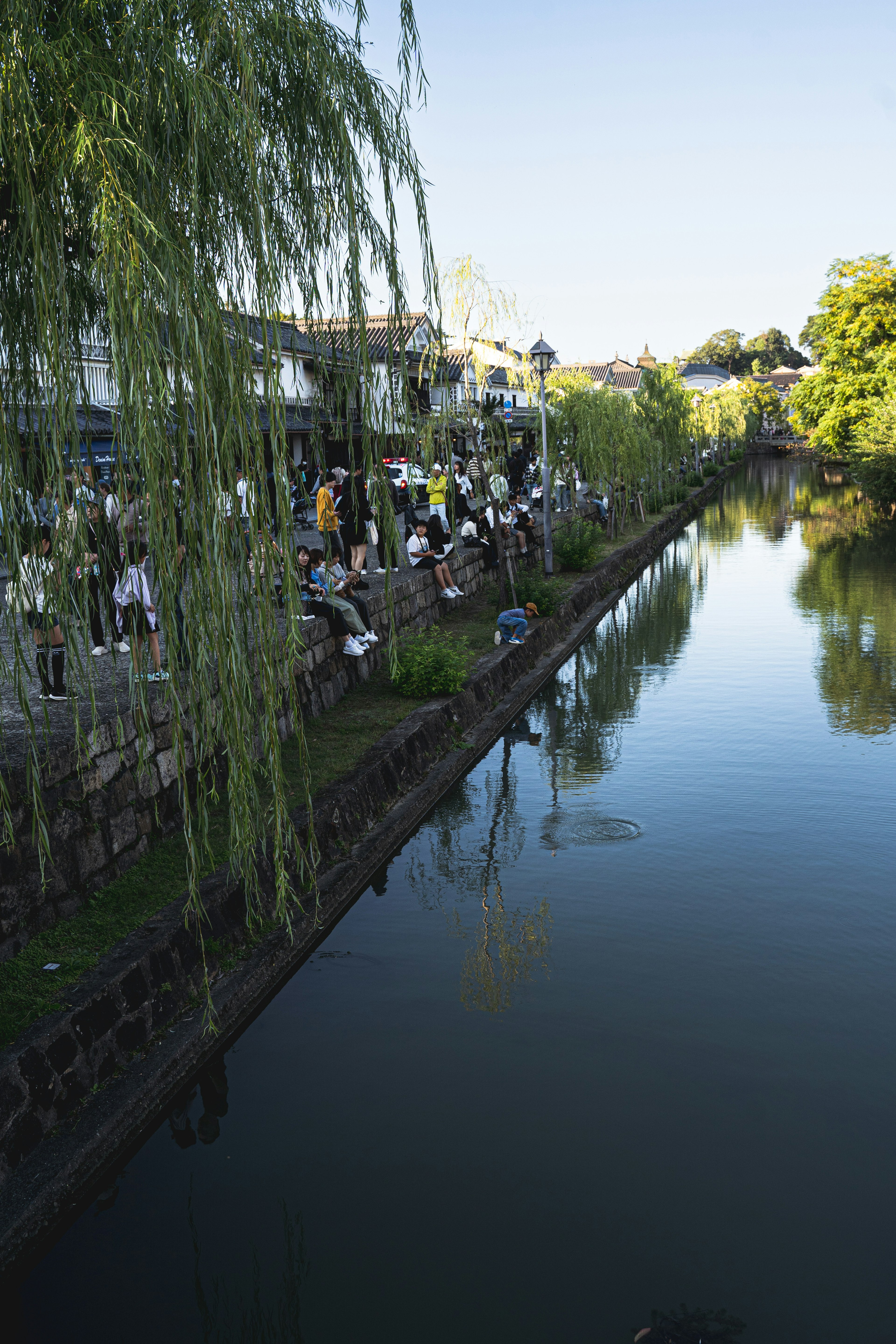 Malersiche Flusslandschaft mit Weiden und ruhigem Wasser