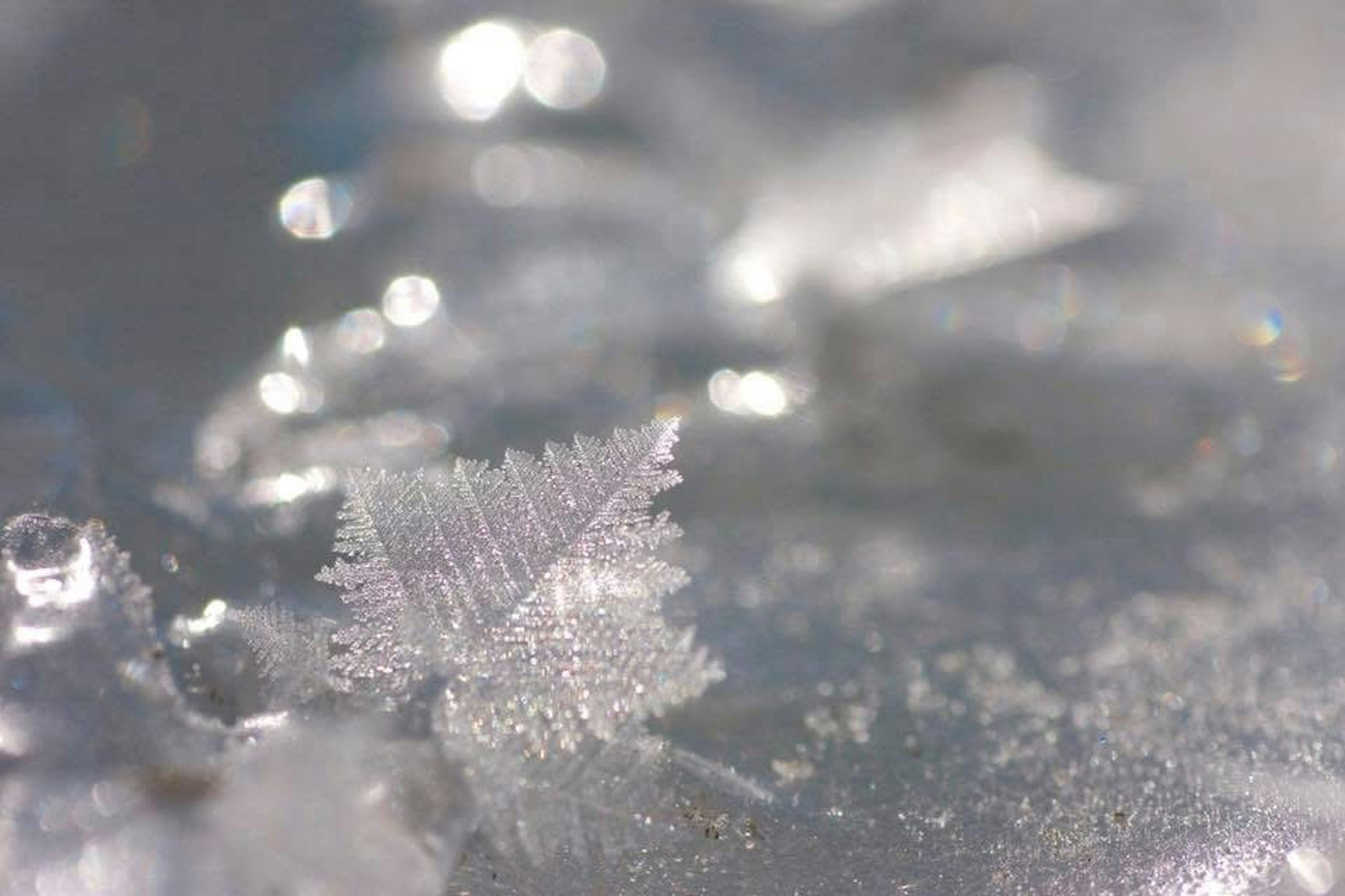 Nahaufnahme von schimmernden Eiskristallen in einer Winterlandschaft