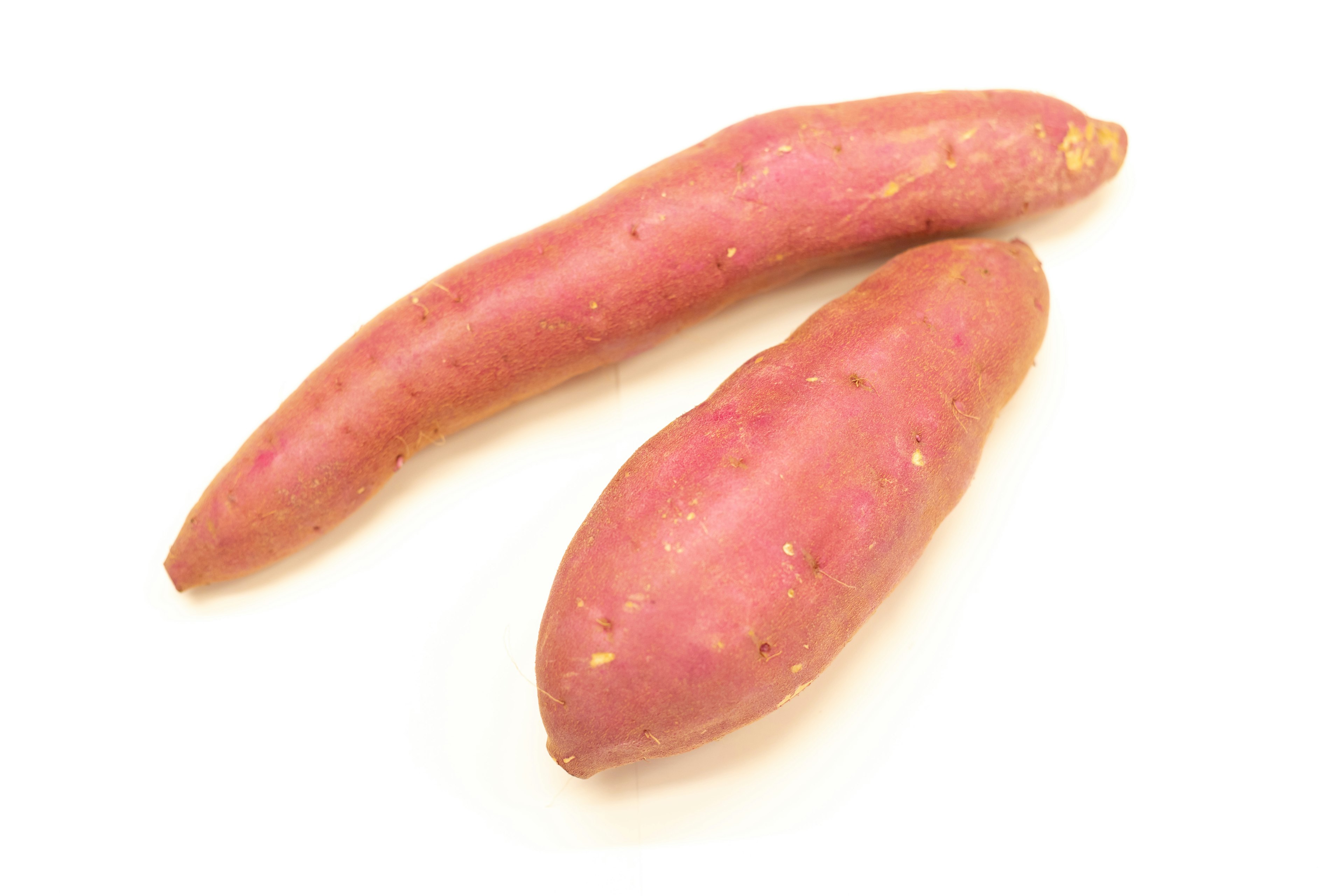 Two sweet potatoes on a white background