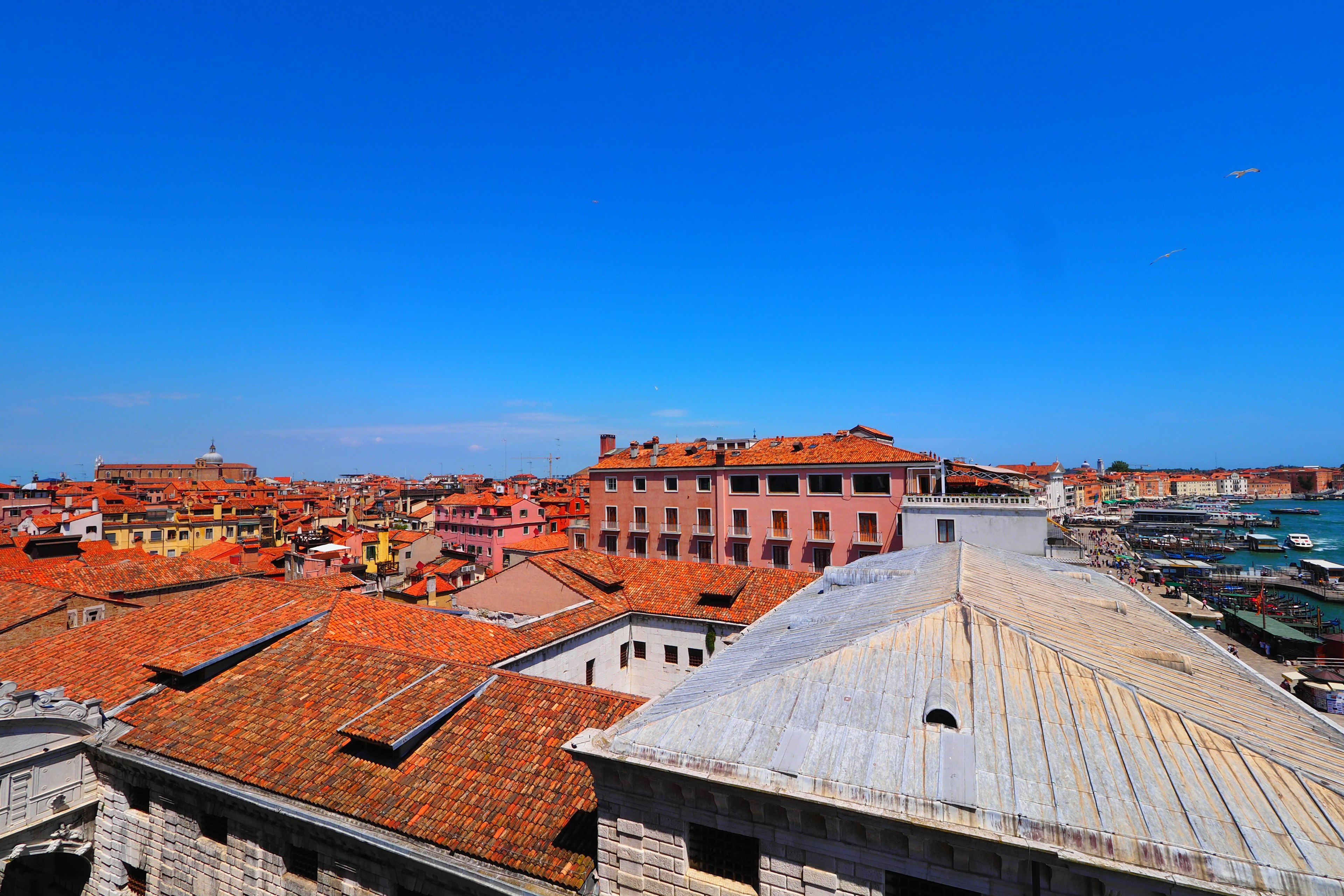 Venetian rooftops under a clear blue sky