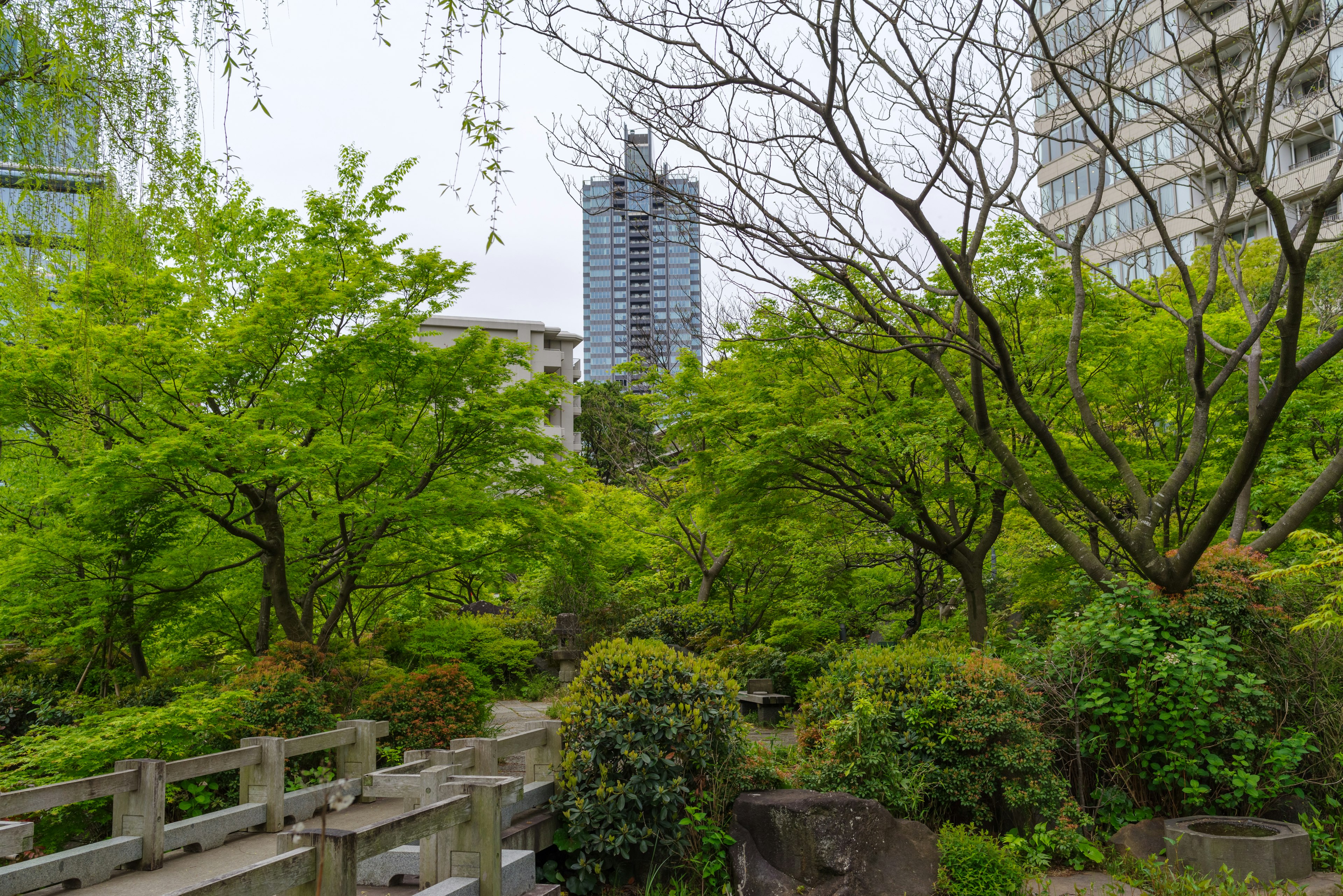 Städtischer Park mit üppigem Grün und modernen Wolkenkratzern im Hintergrund