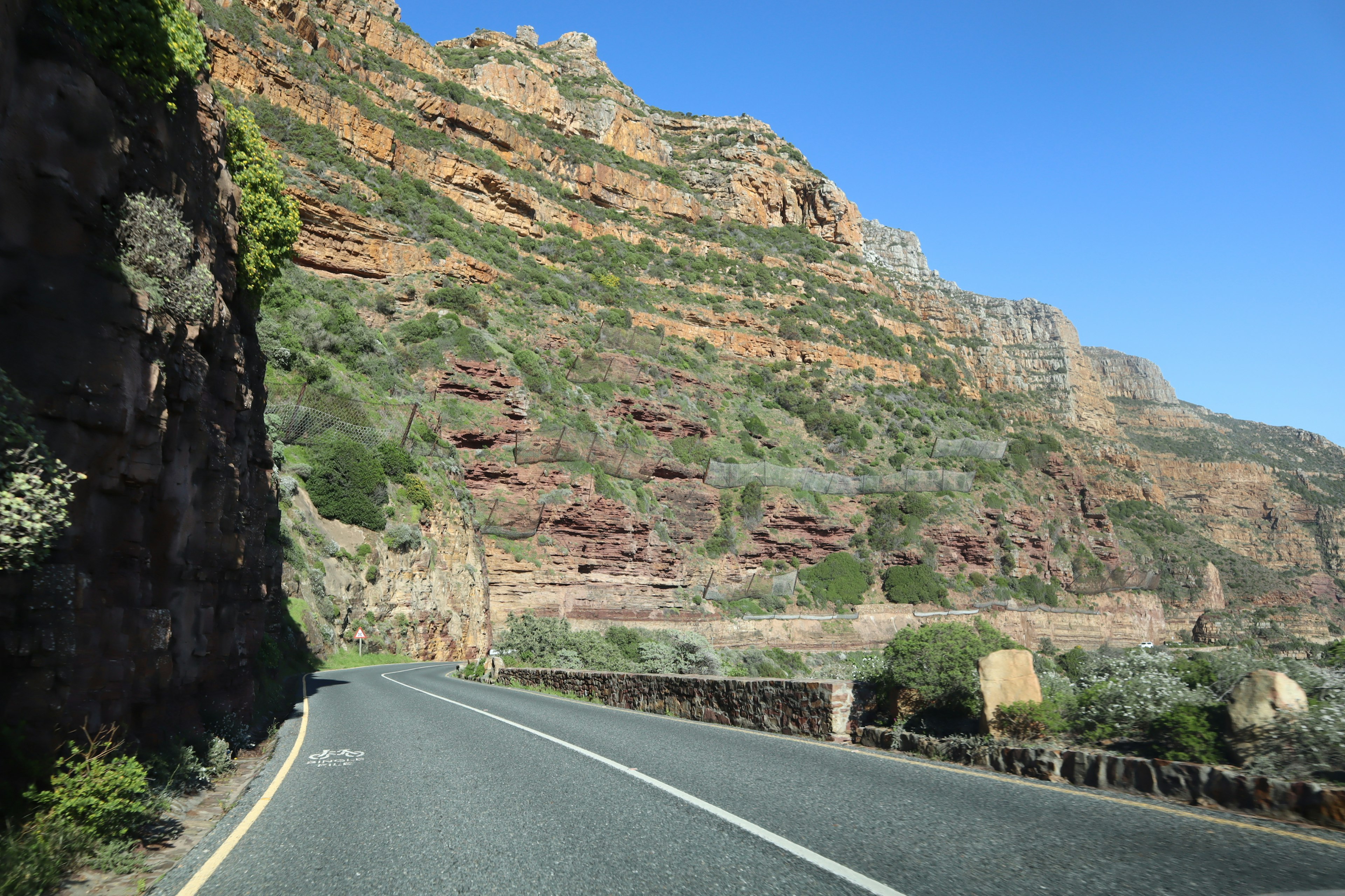 一條被多彩岩層和綠植包圍的風景道路