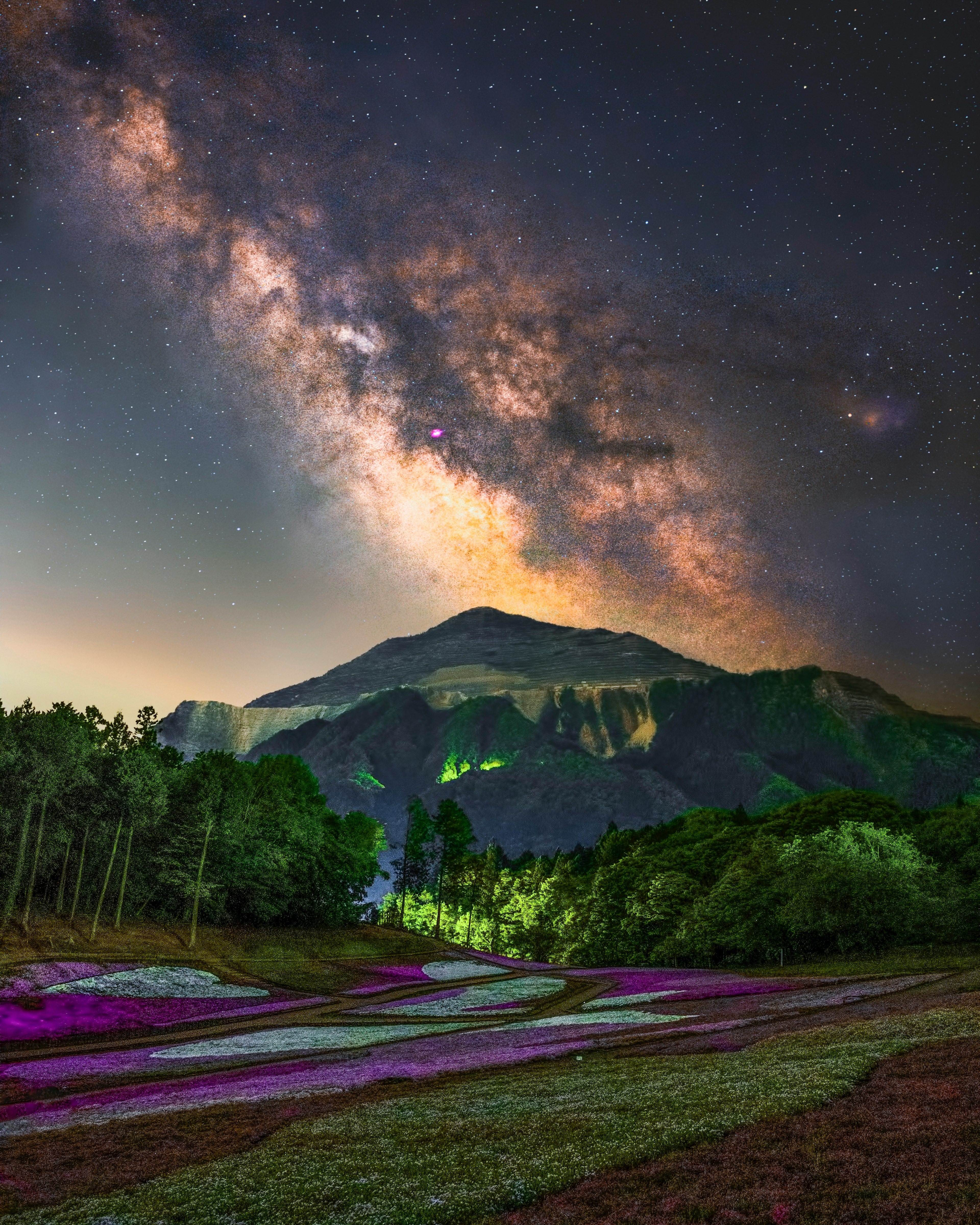 Paysage montagneux sous un ciel étoilé magnifique avec des champs de fleurs colorées