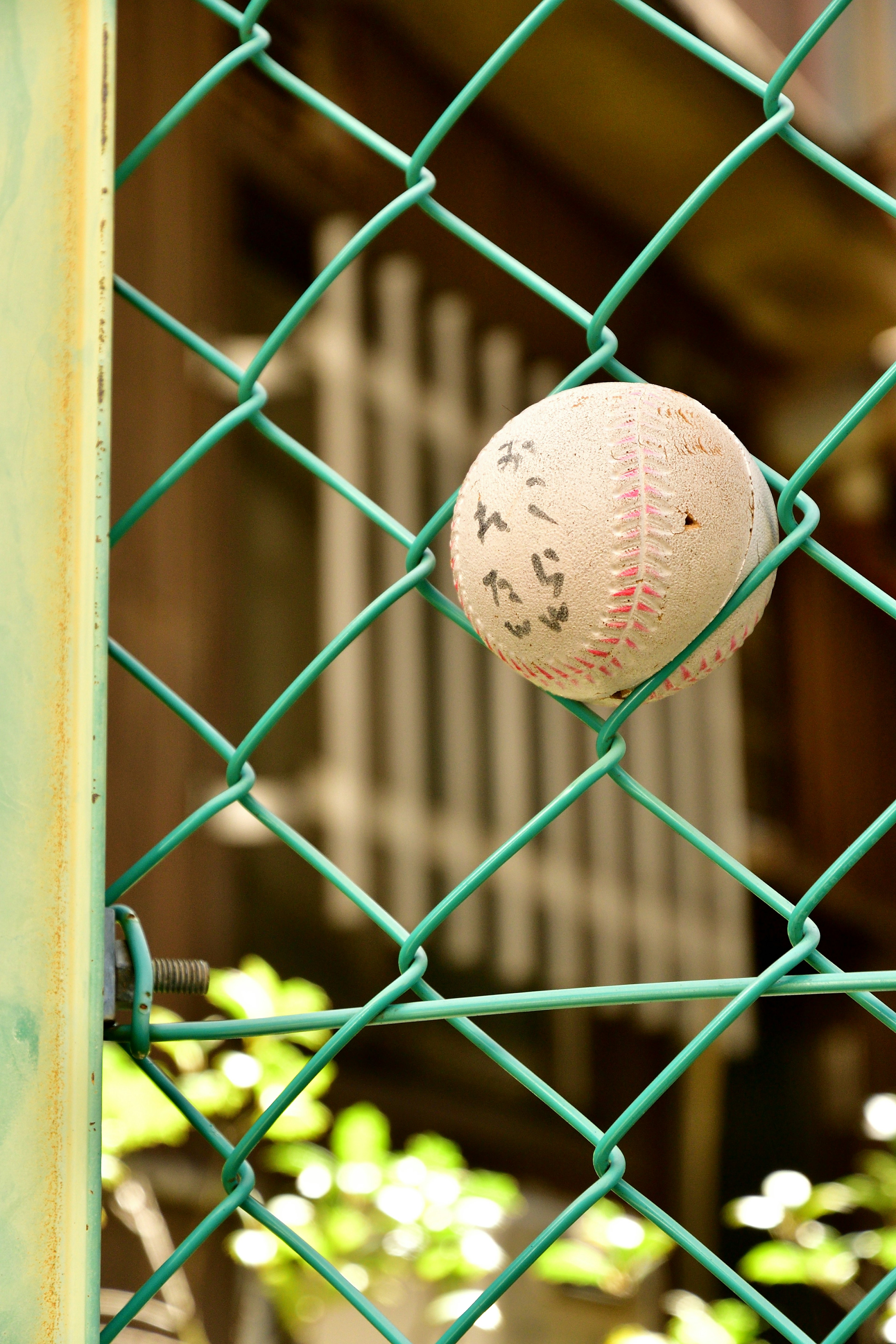 Una pelota de béisbol vieja atrapada en una cerca de alambre verde