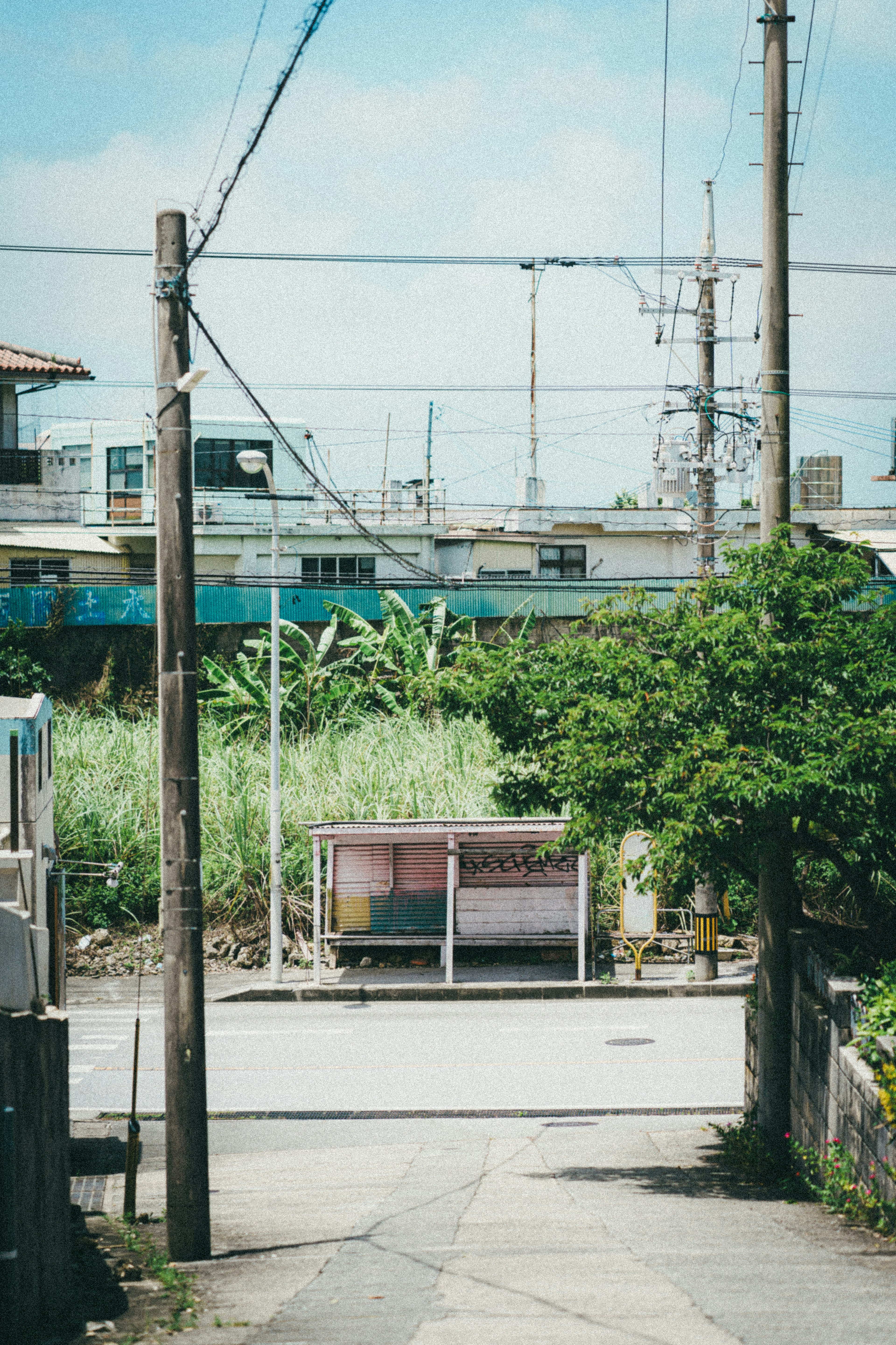 Scene of a residential area featuring a path and bus stop