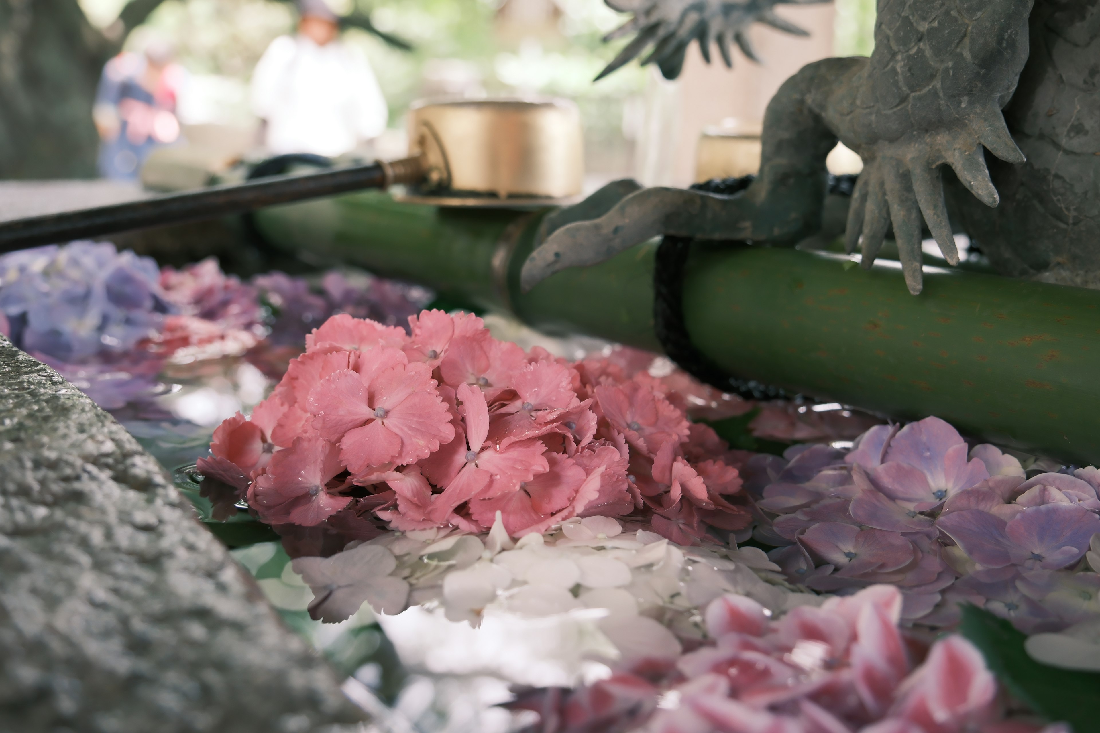 Petal bunga berwarna-warni mengapung di atas air di atas bambu