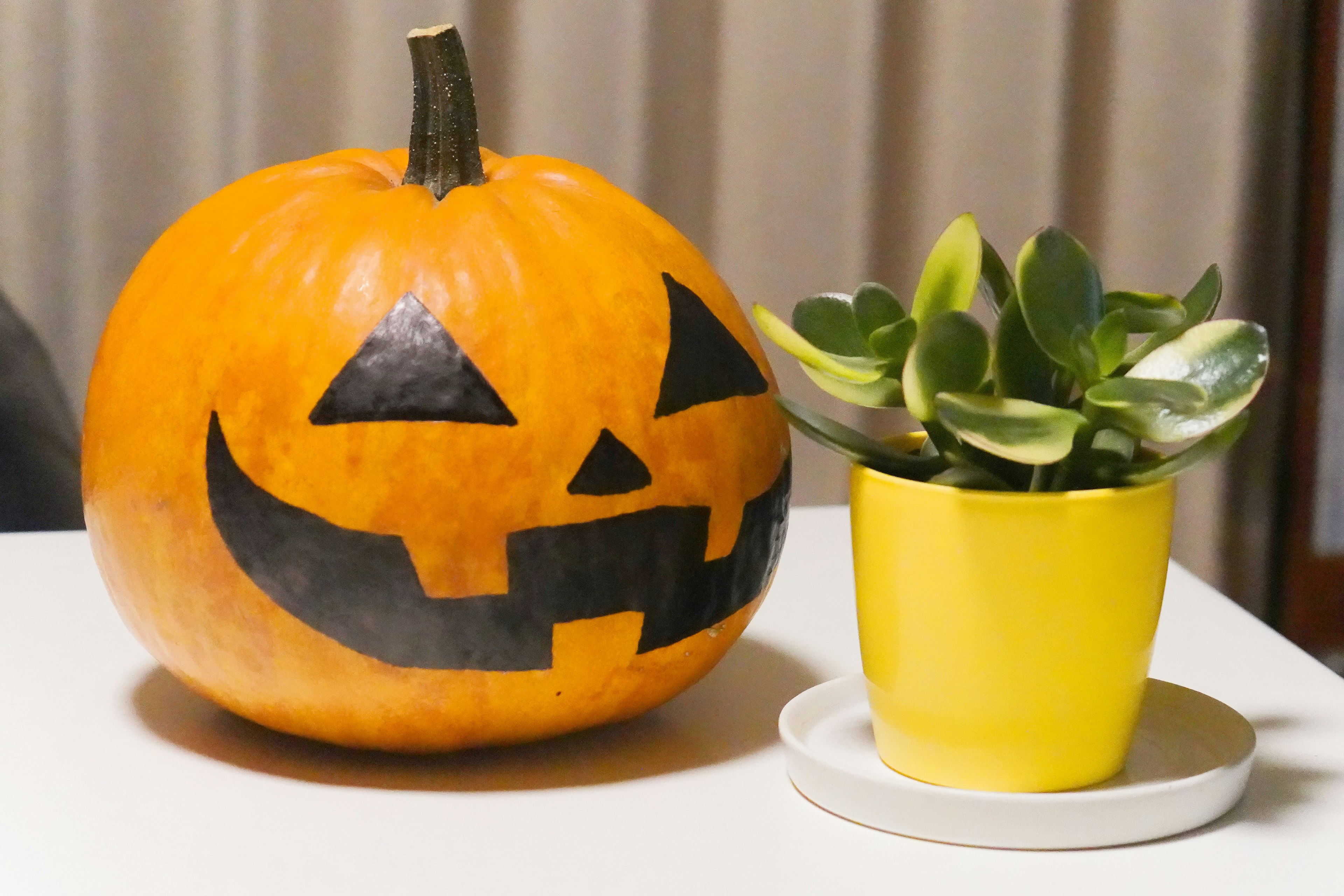 Halloween pumpkin with a carved face and a yellow potted plant