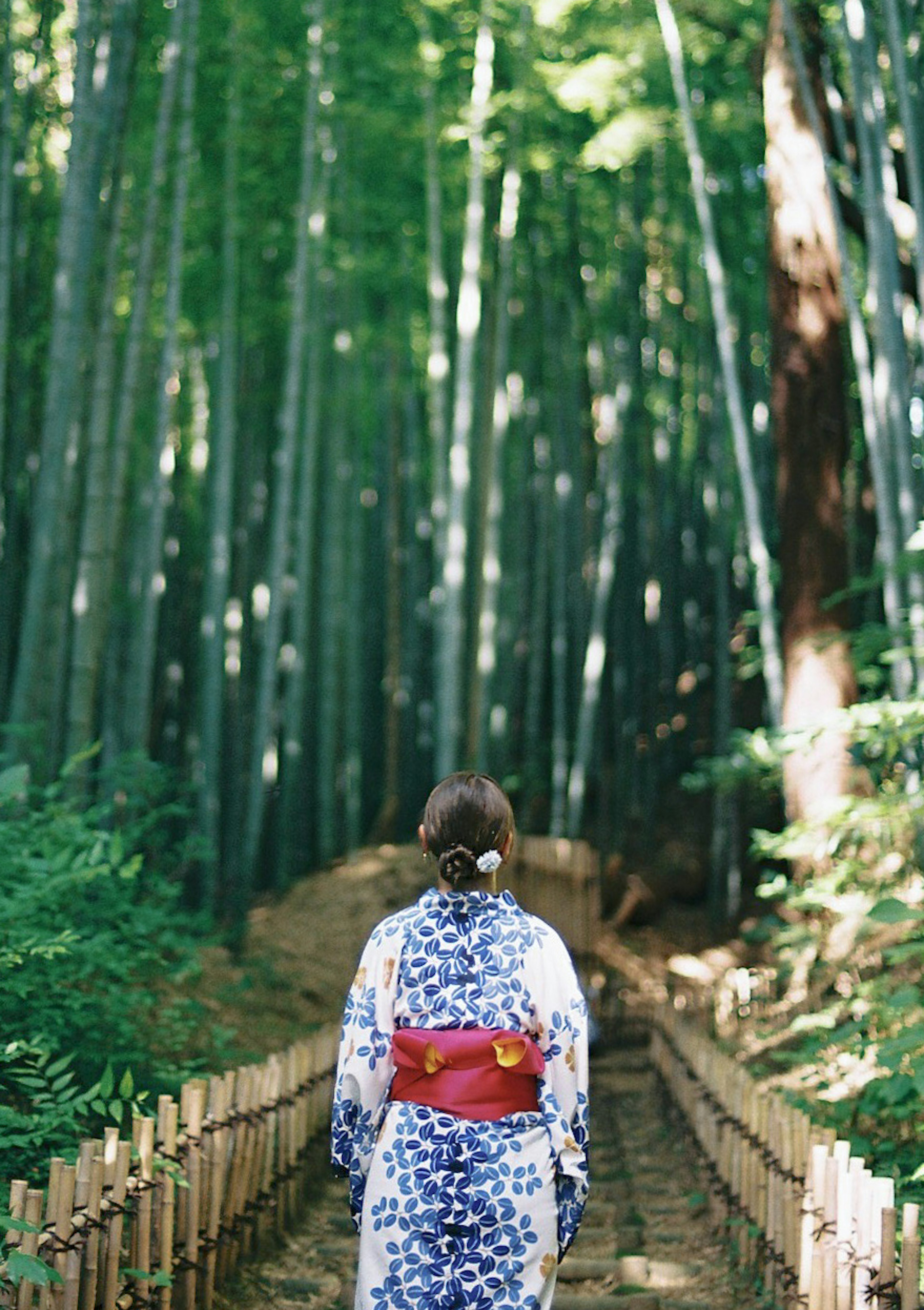 Wanita berpakaian kimono berjalan di hutan bambu