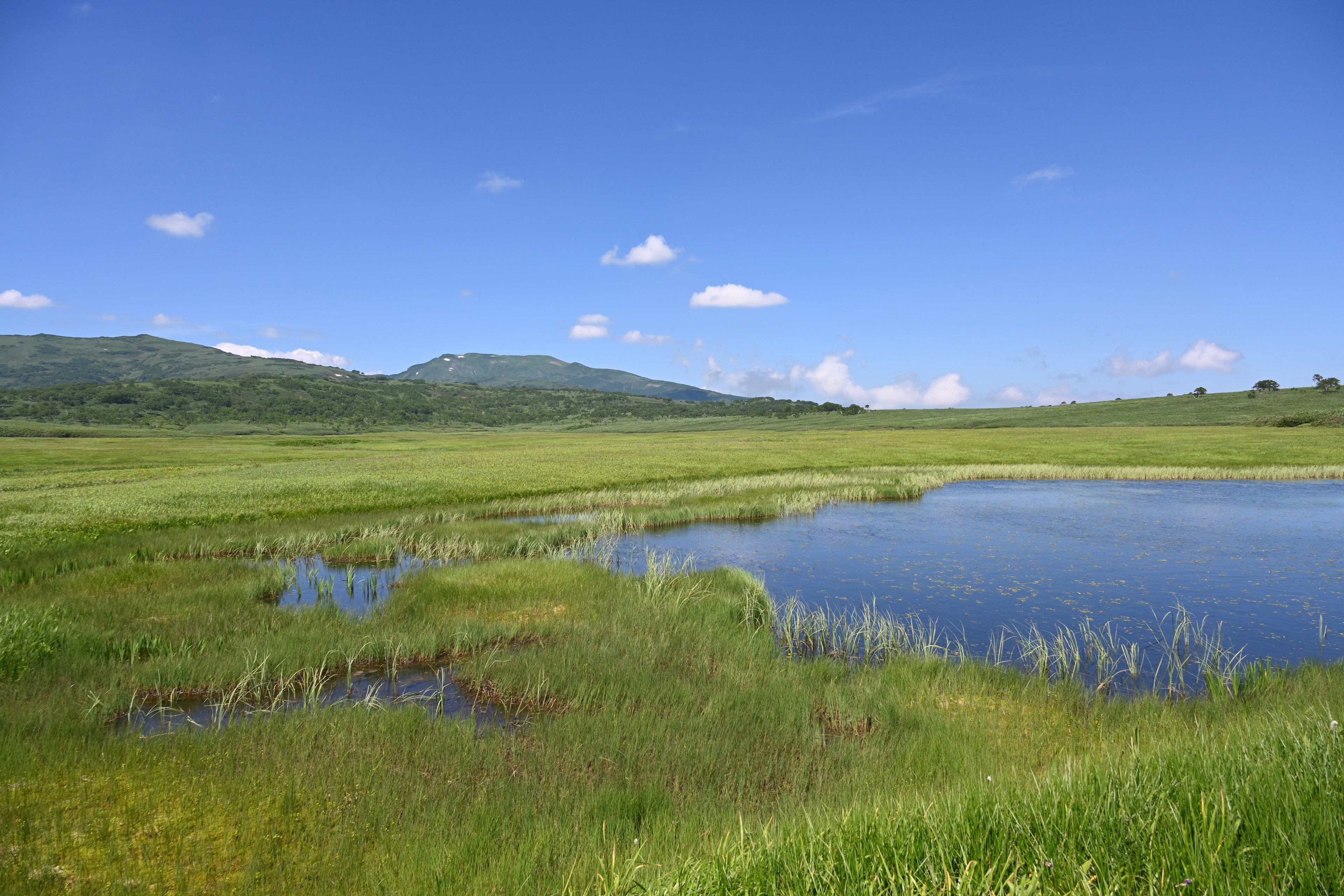 Un paisaje escénico que presenta un prado verde y un estanque tranquilo bajo un cielo azul