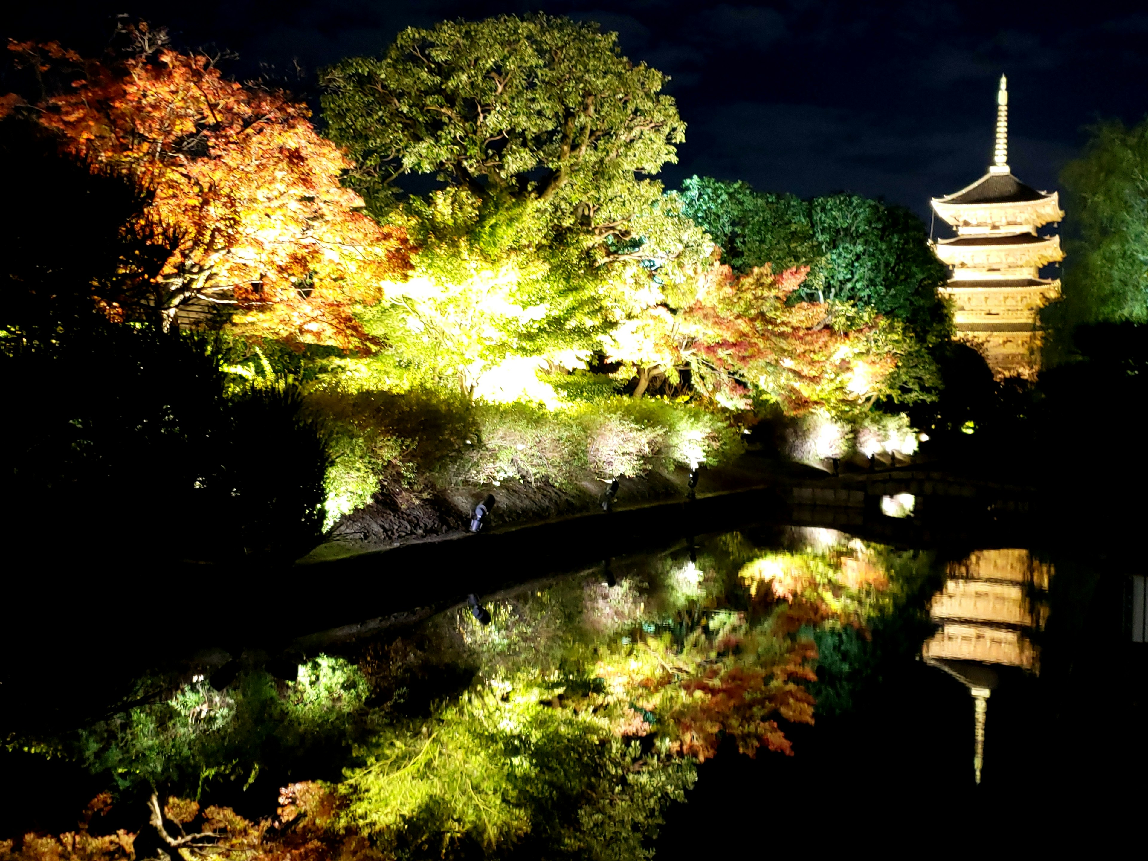 Hermosa vista nocturna de un jardín con linterna y hojas de otoño