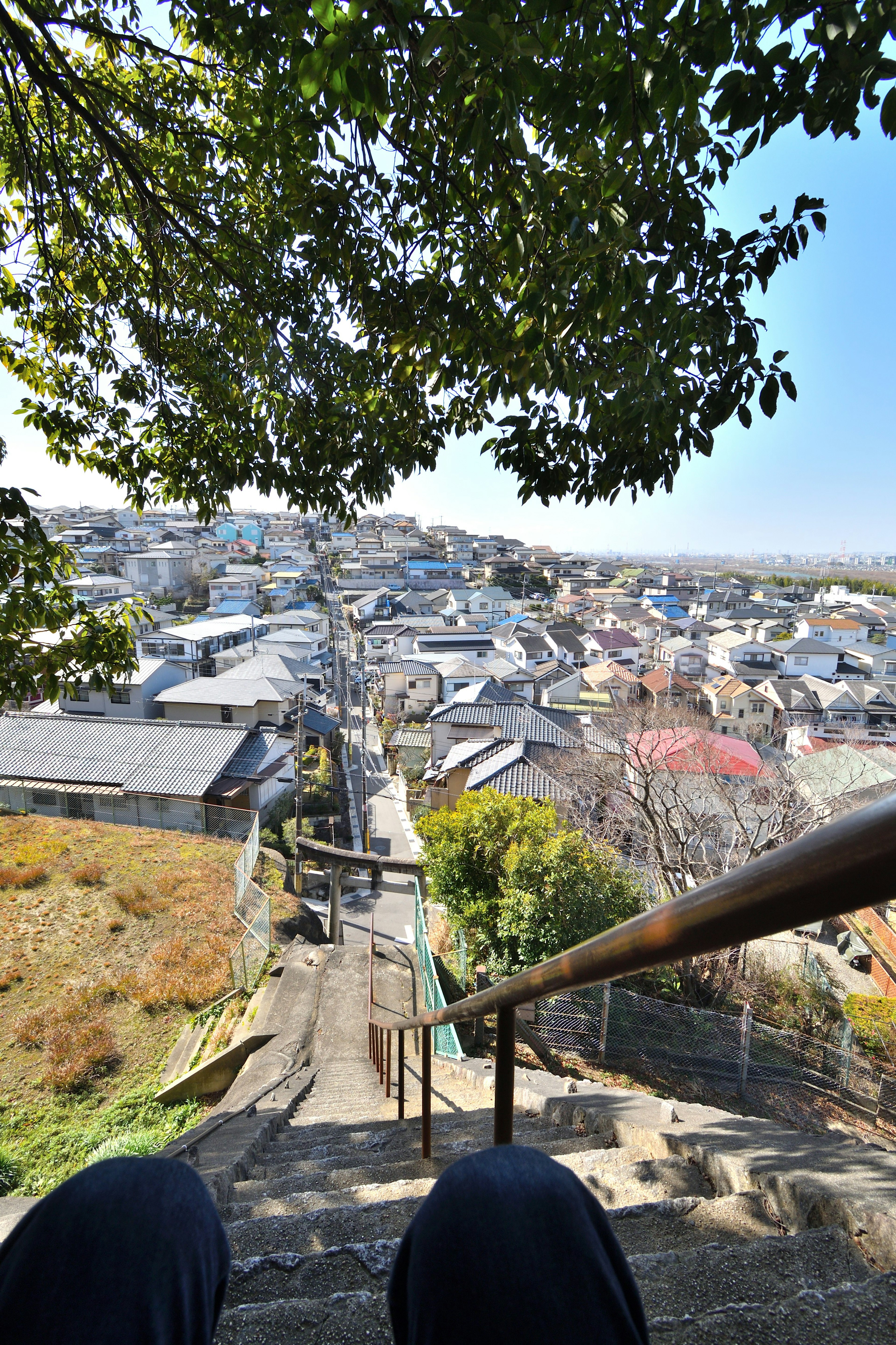 階段の上から見た住宅街の景色 緑の木々と家々が広がる