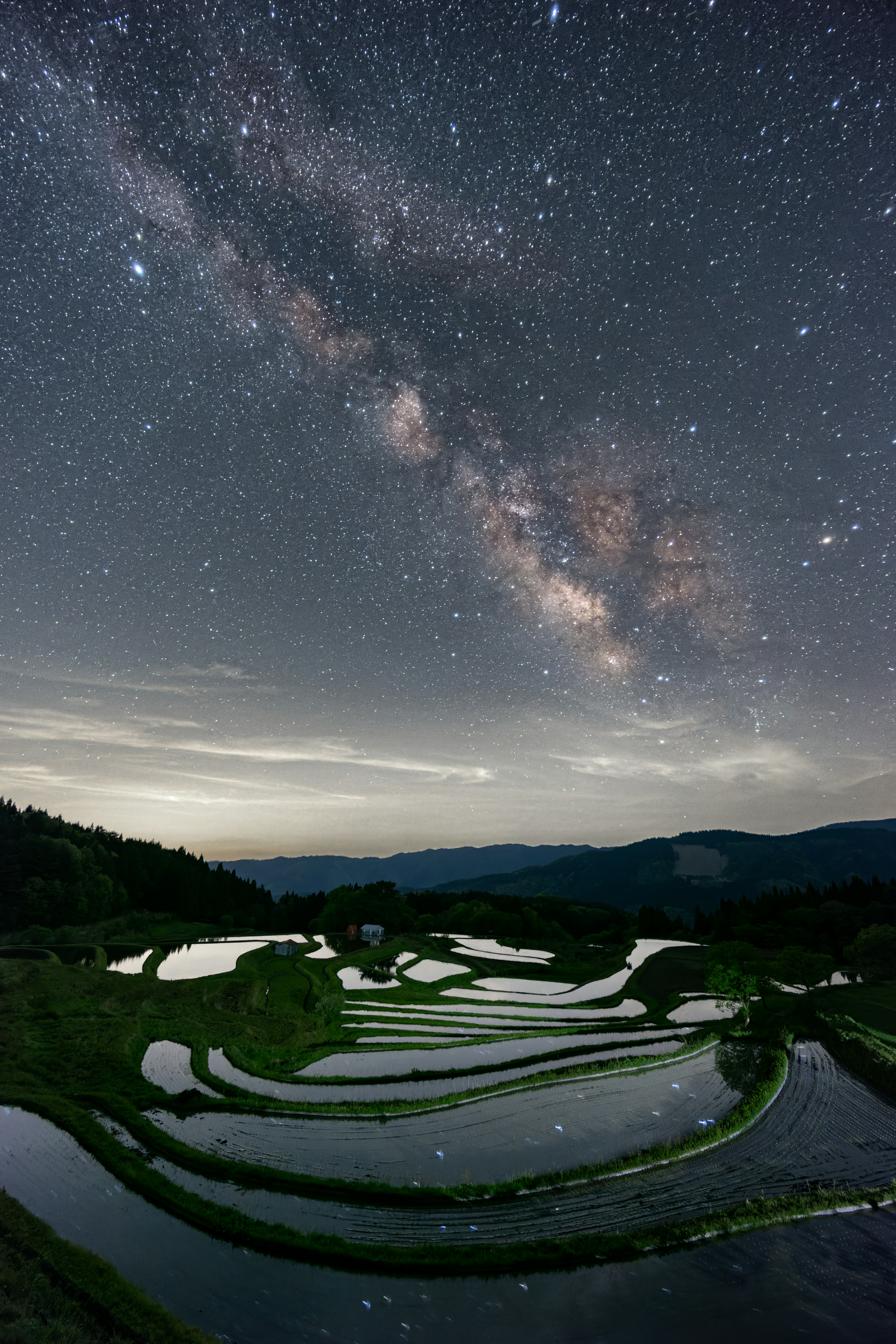 Impresionantes campos de arroz en terrazas bajo un cielo estrellado