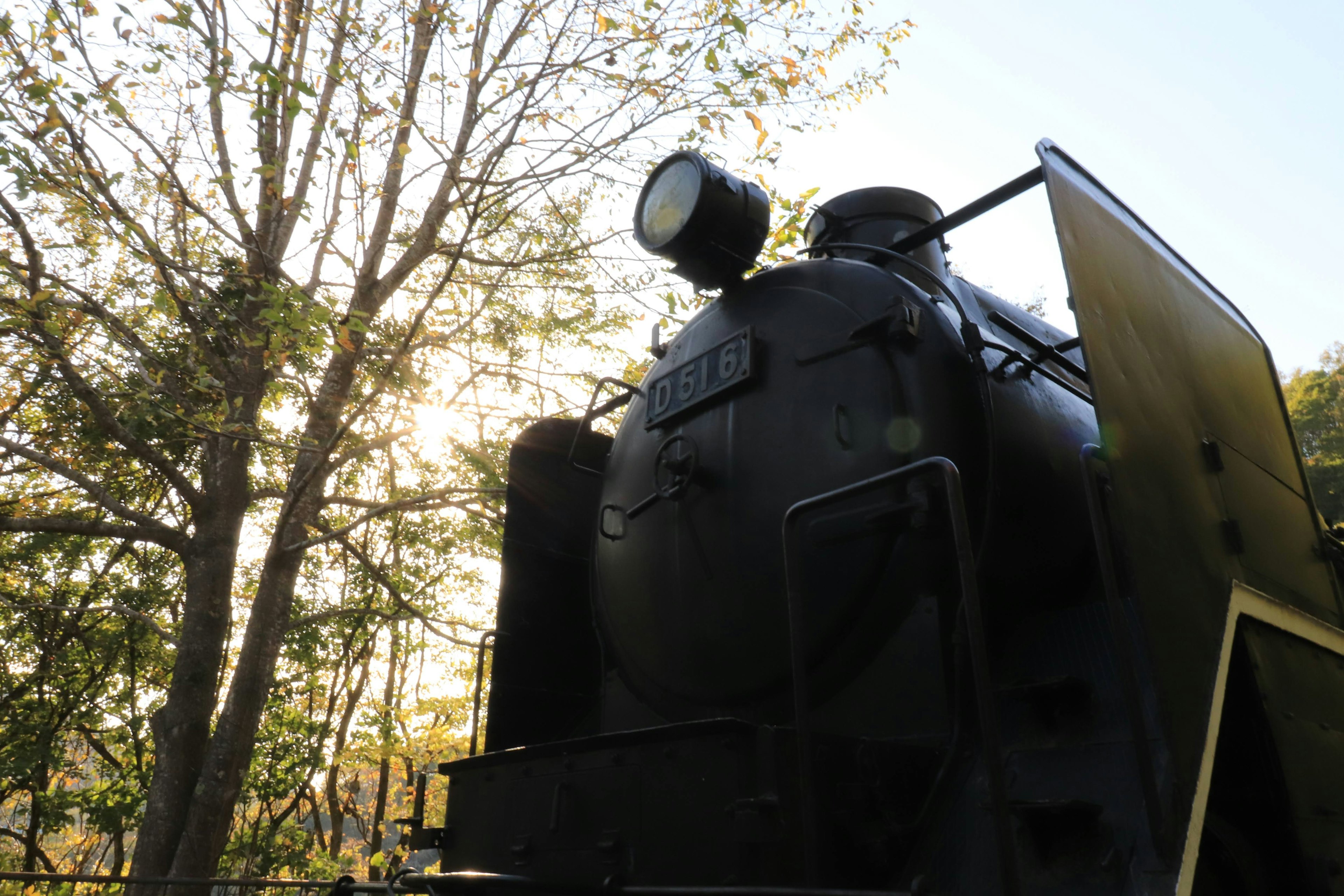 Seitenansicht einer alten Dampflokomotive mit Bäumen und Sonnenlicht