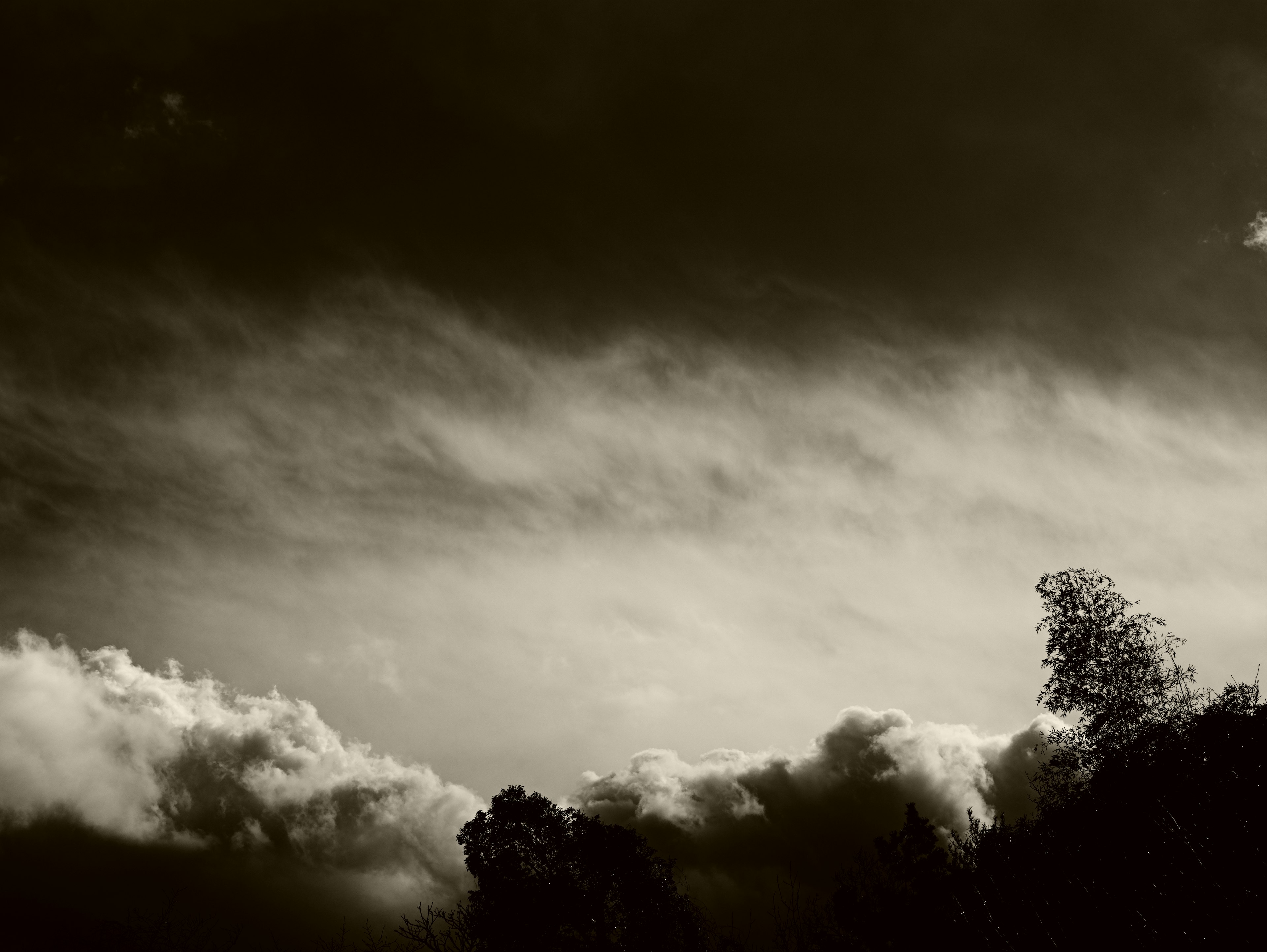 Paysage noir et blanc de nuages et de ciel