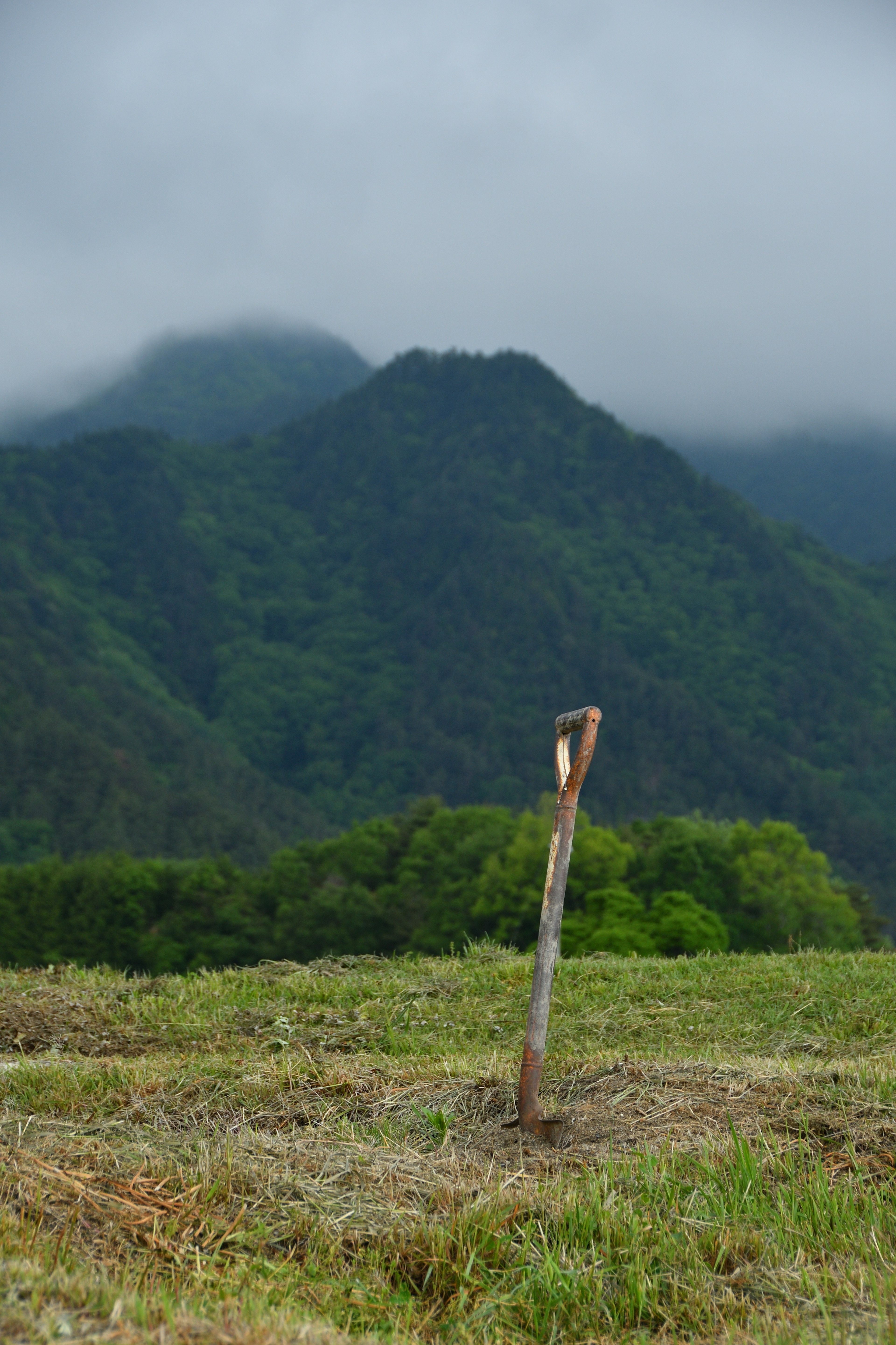 霧に包まれた山々と緑の草原に立つ木の棒