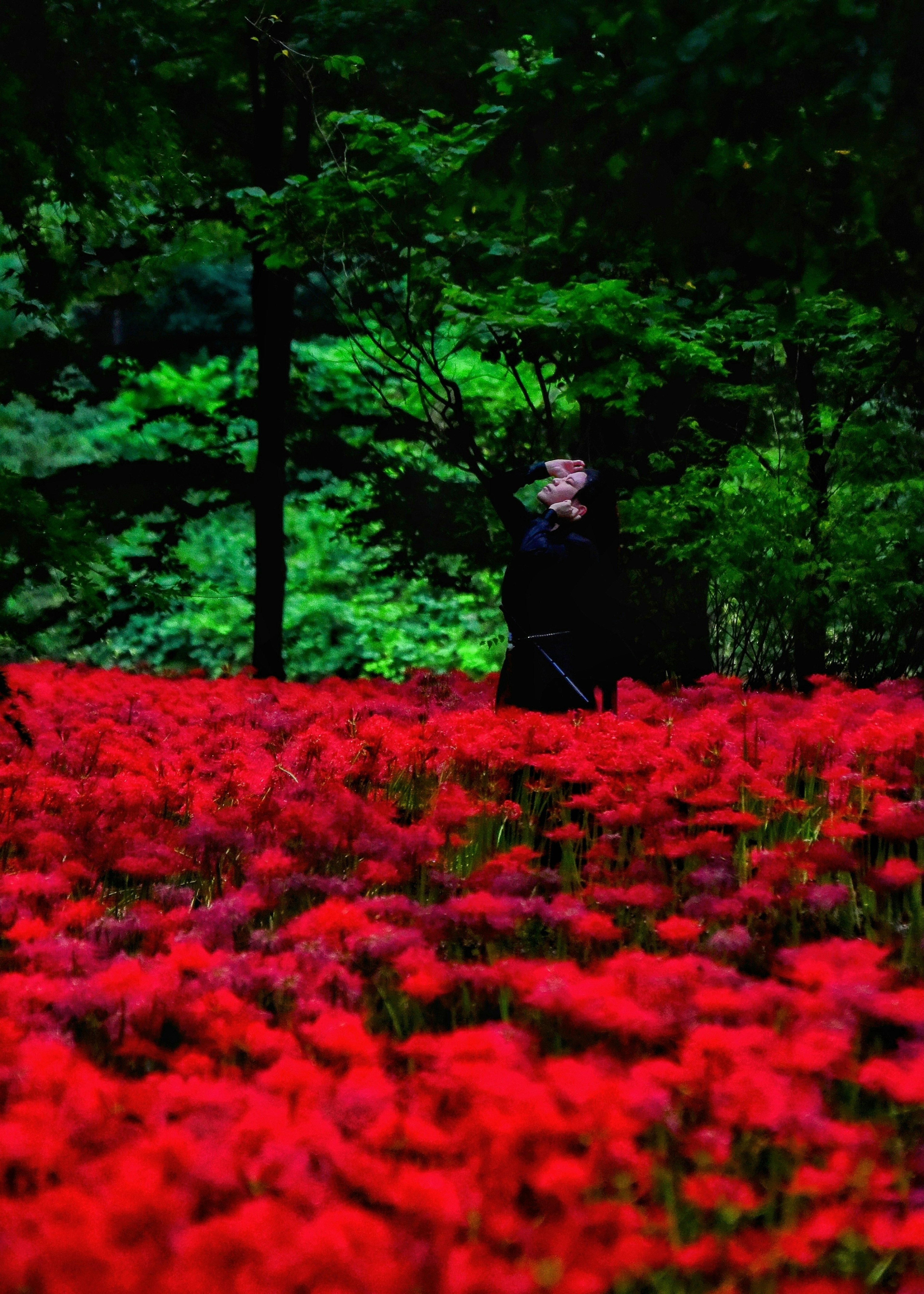 Una persona in abiti neri si trova in un paesaggio bellissimo pieno di fiori rossi