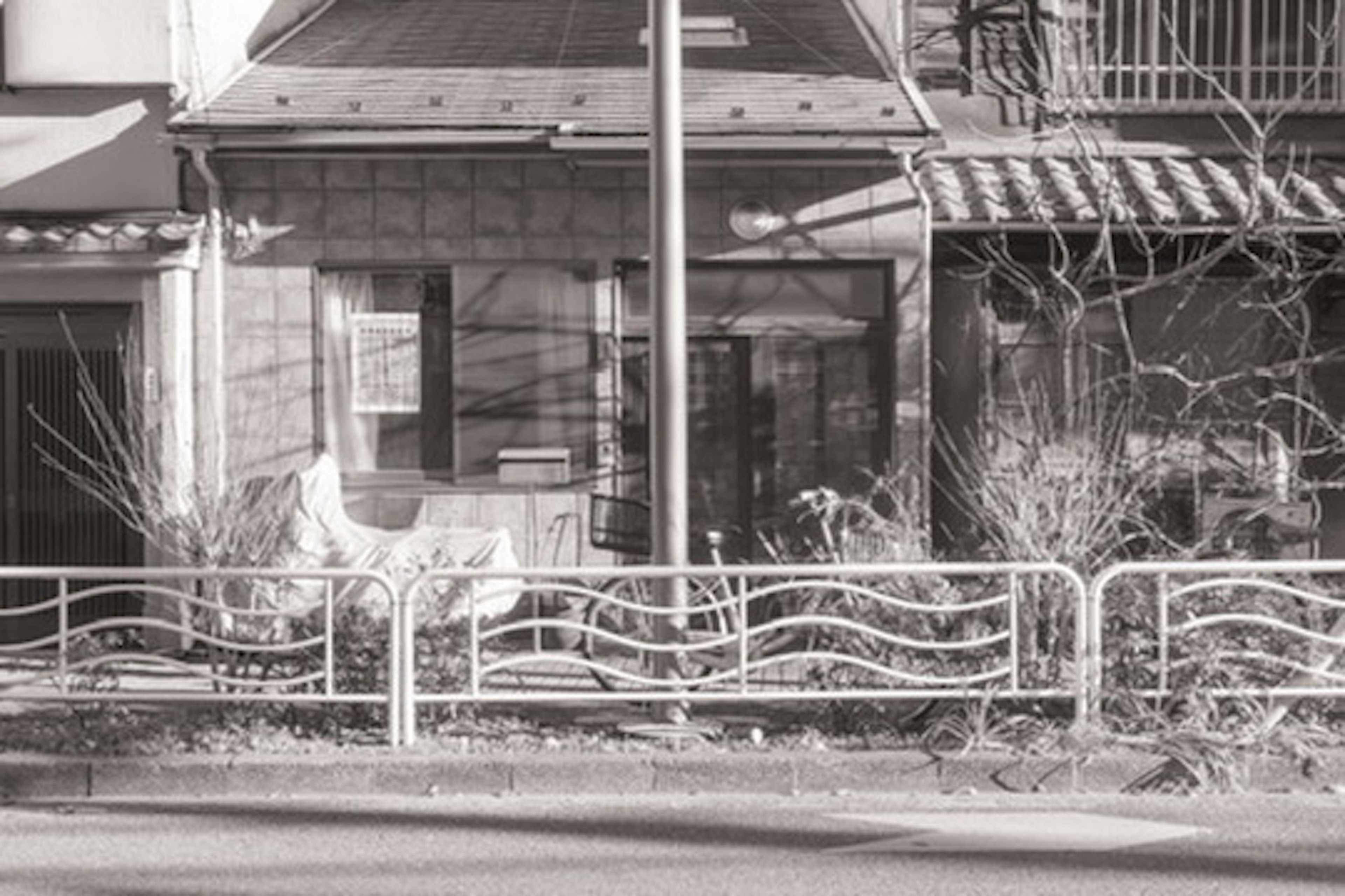 Exterior en blanco y negro de una casa con plantas en una calle tranquila