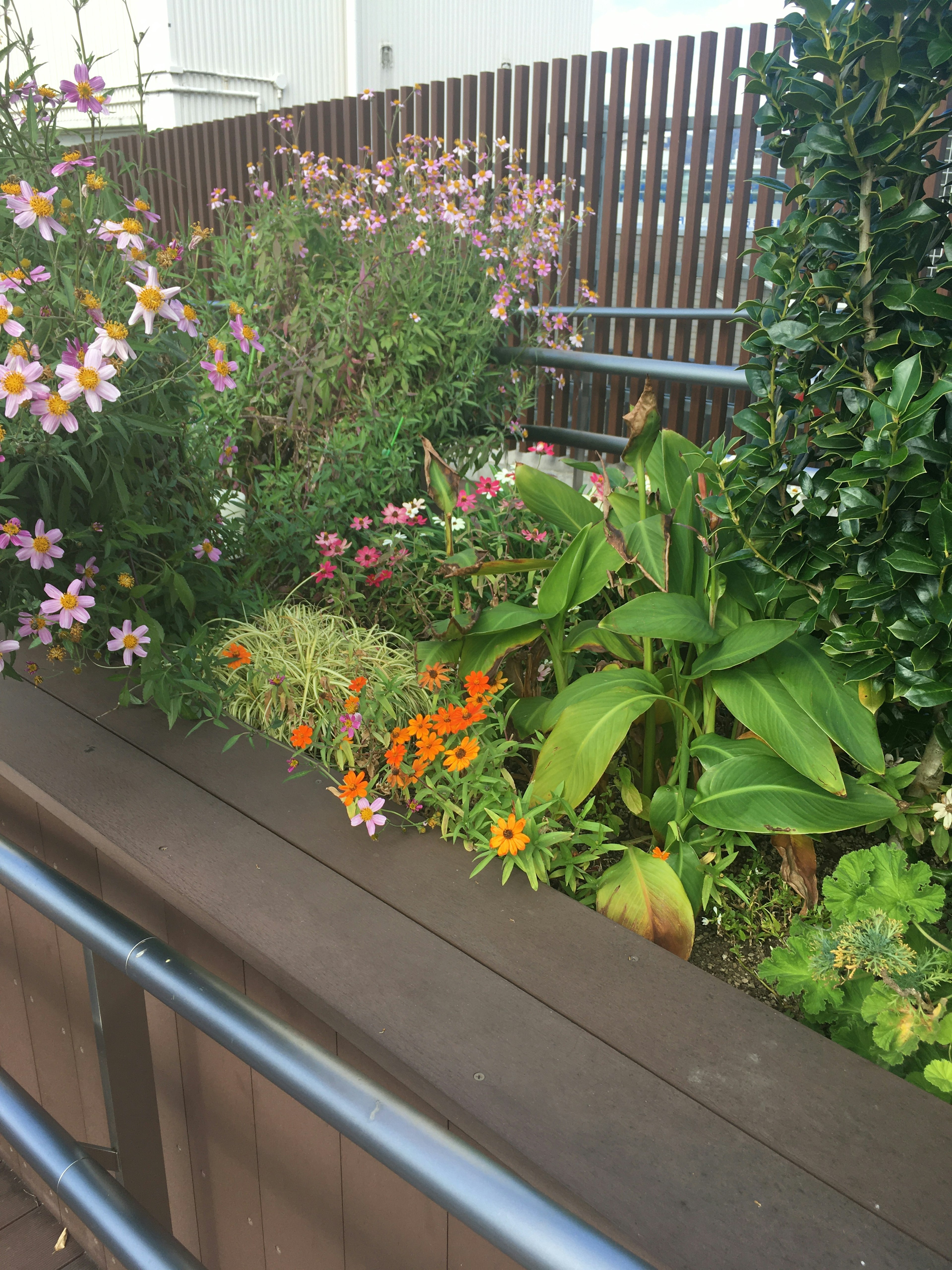 緑豊かな花壇に色とりどりの花と葉が生い茂る風景