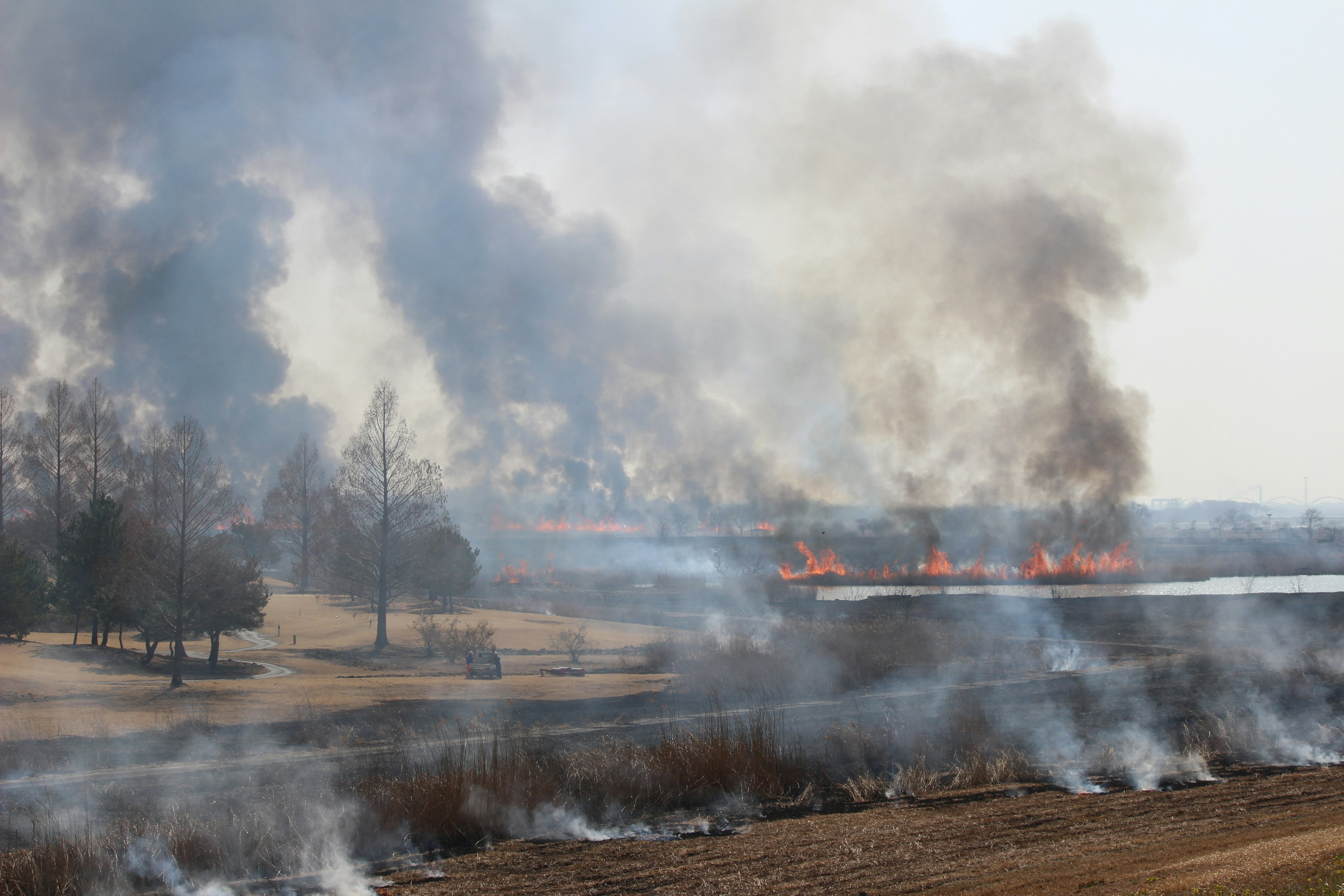 Fumo che si alza dai prati con aree in fiamme