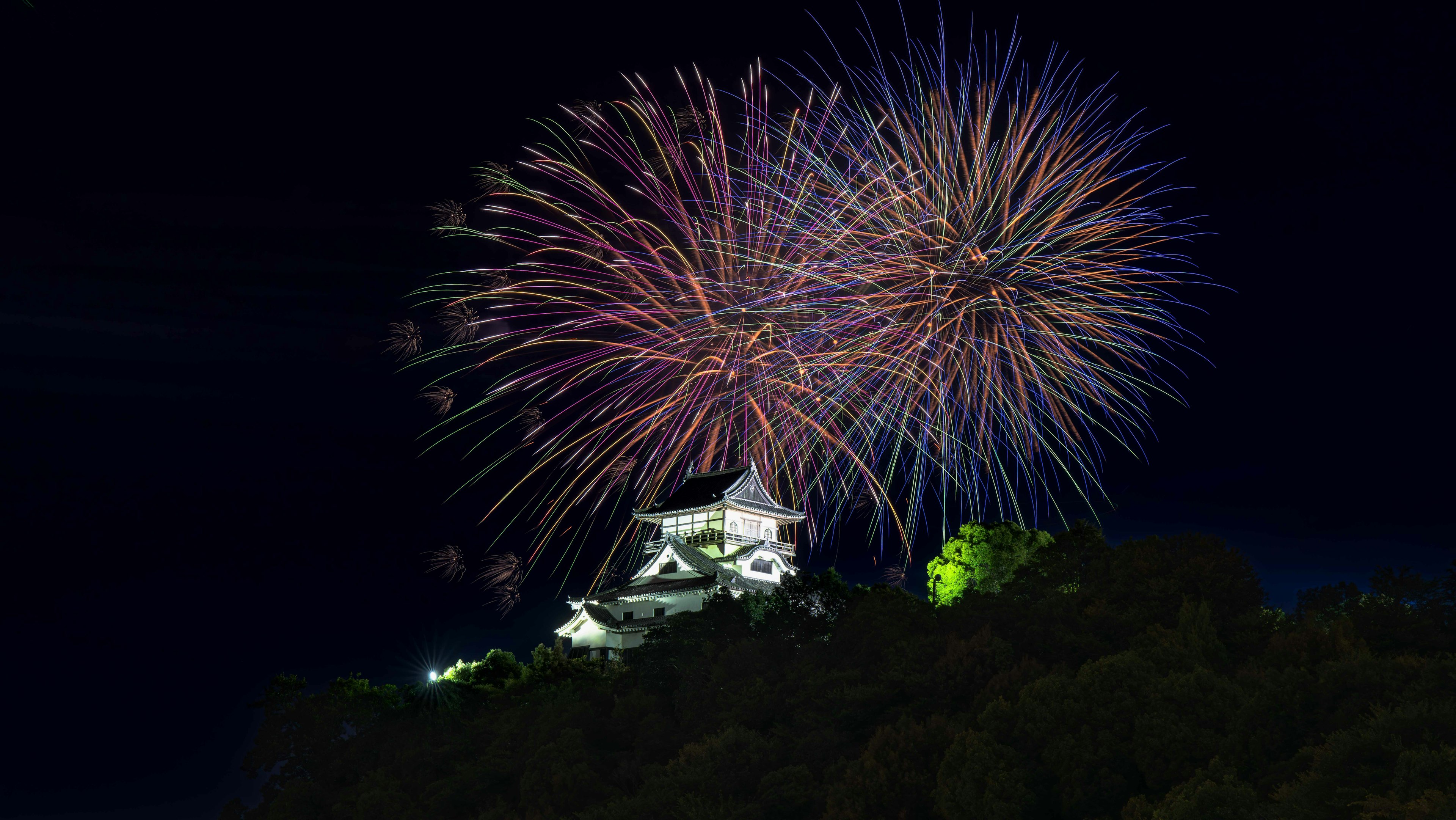 夜空に花火が打ち上げられ白い城と緑の木々が見える