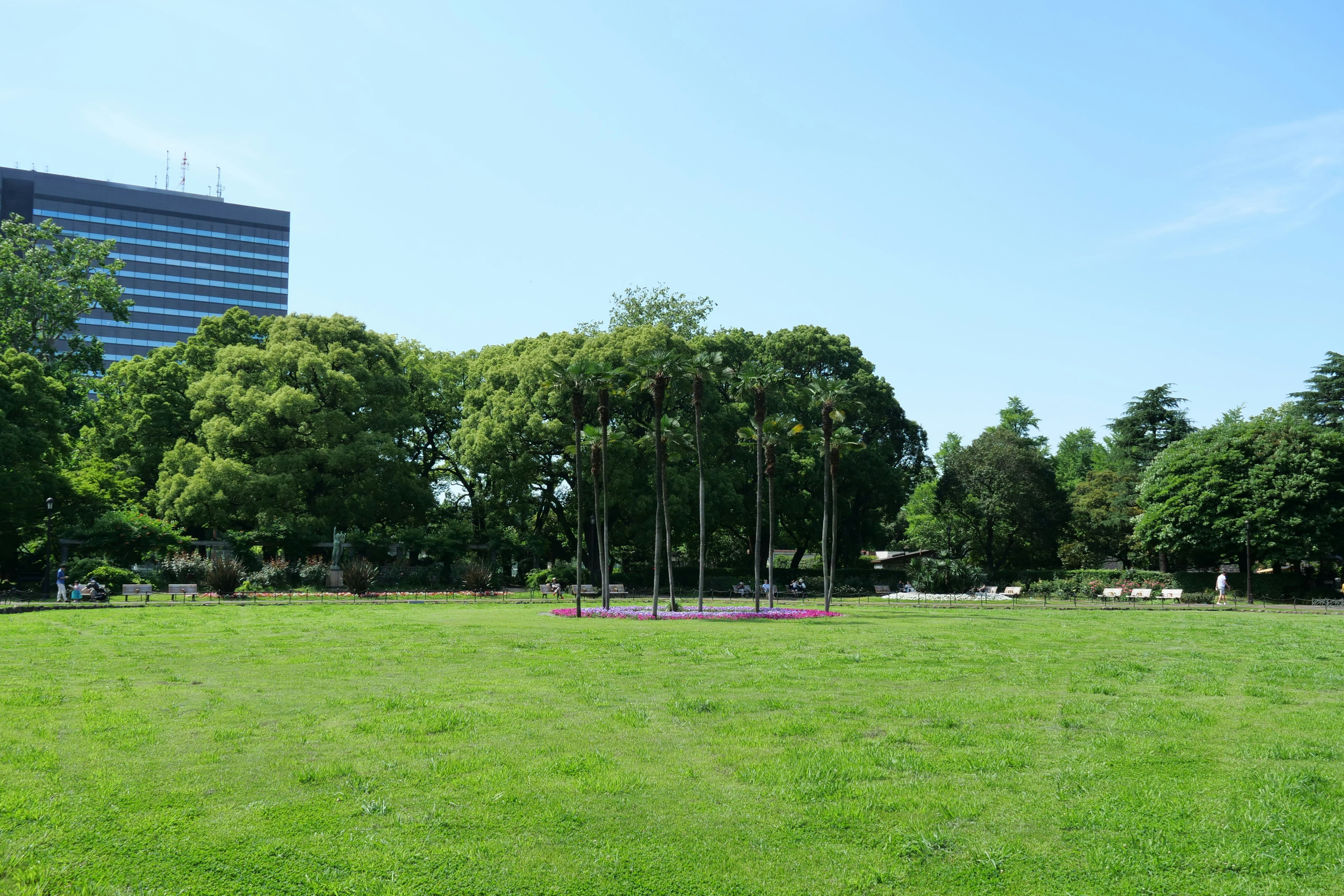 Spacious park under a blue sky with lush green grass and trees