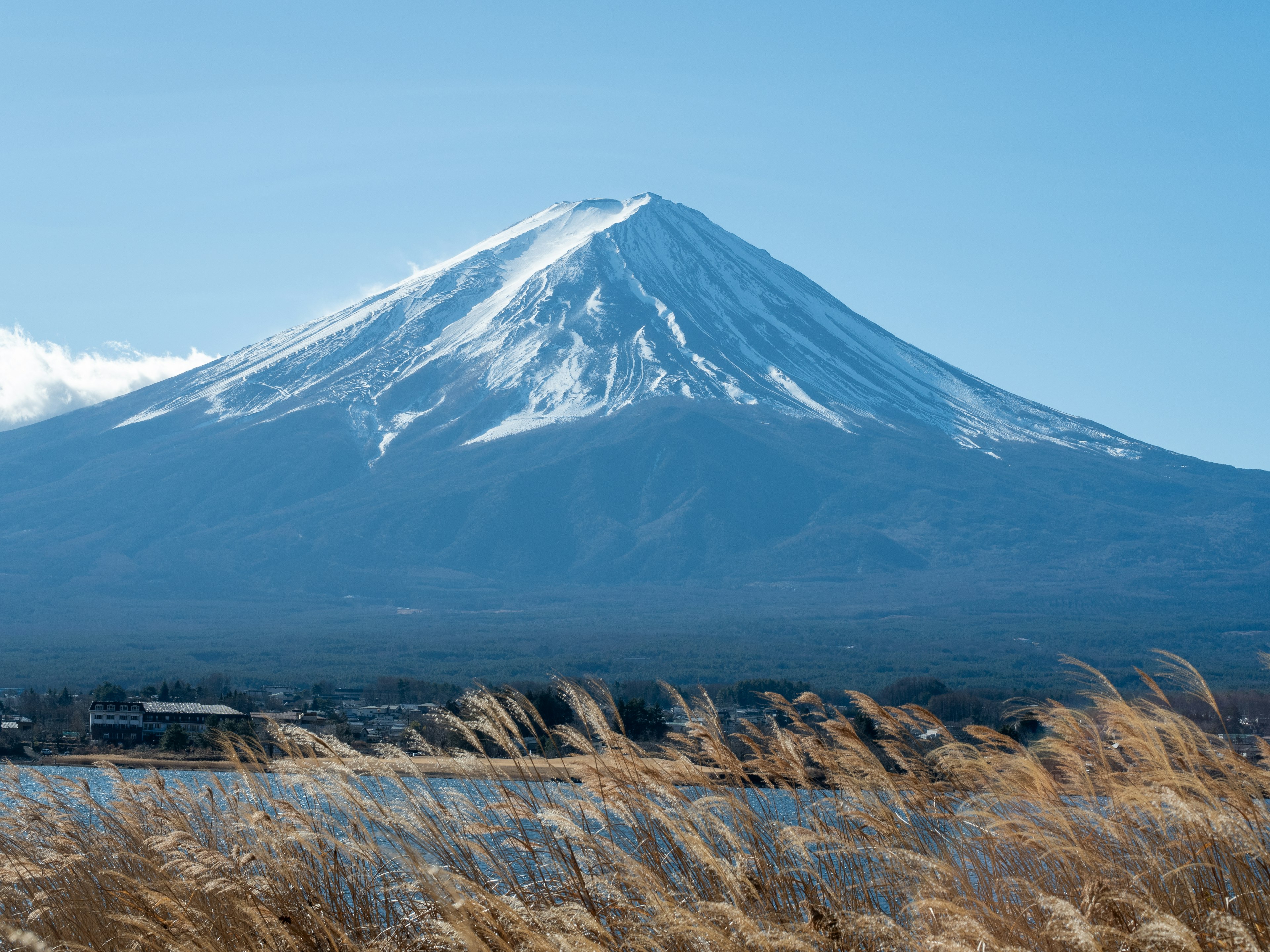 Gunung Fuji bersalju dengan rumput di latar depan