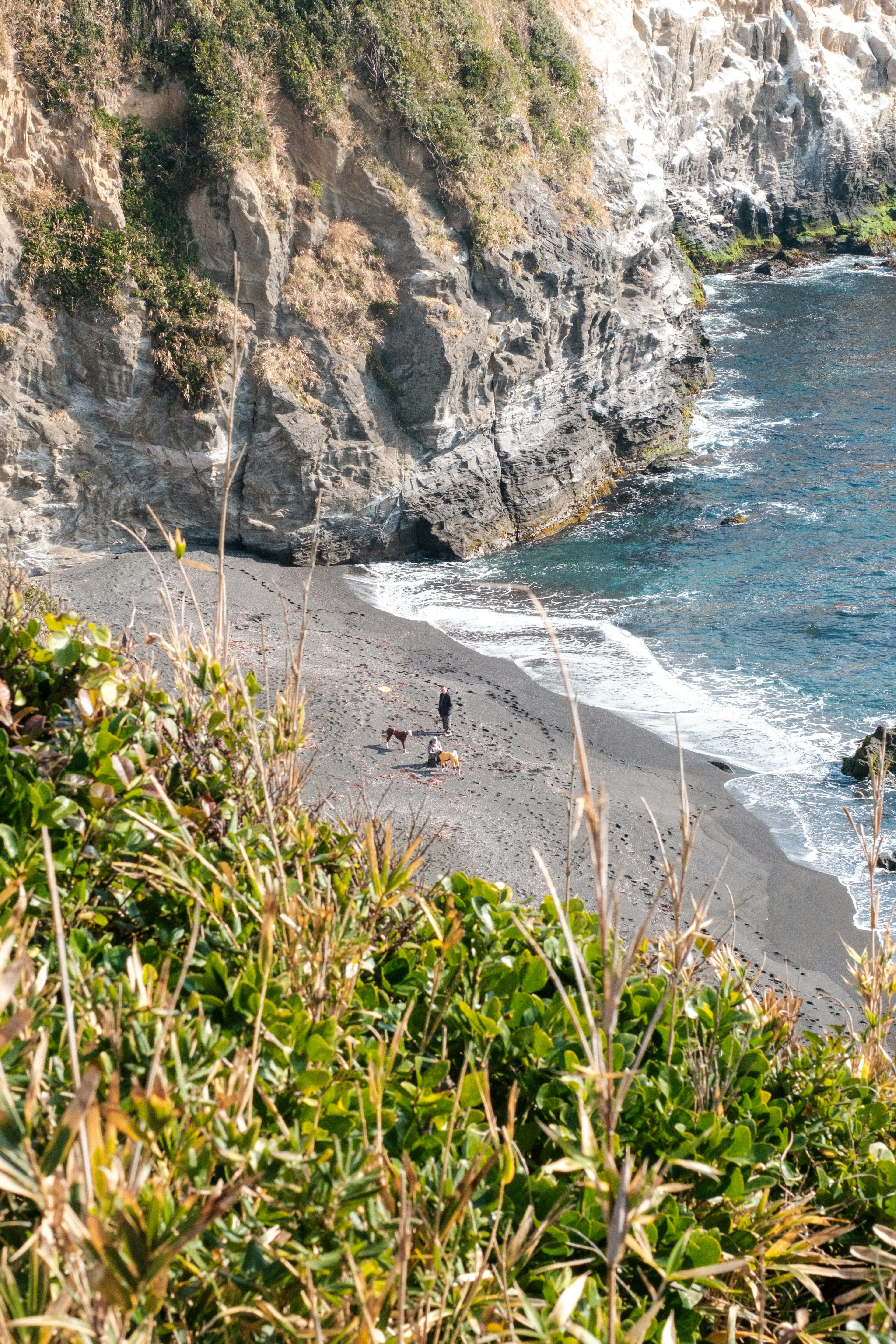 Scène côtière magnifique avec océan bleu et plage de sable noir