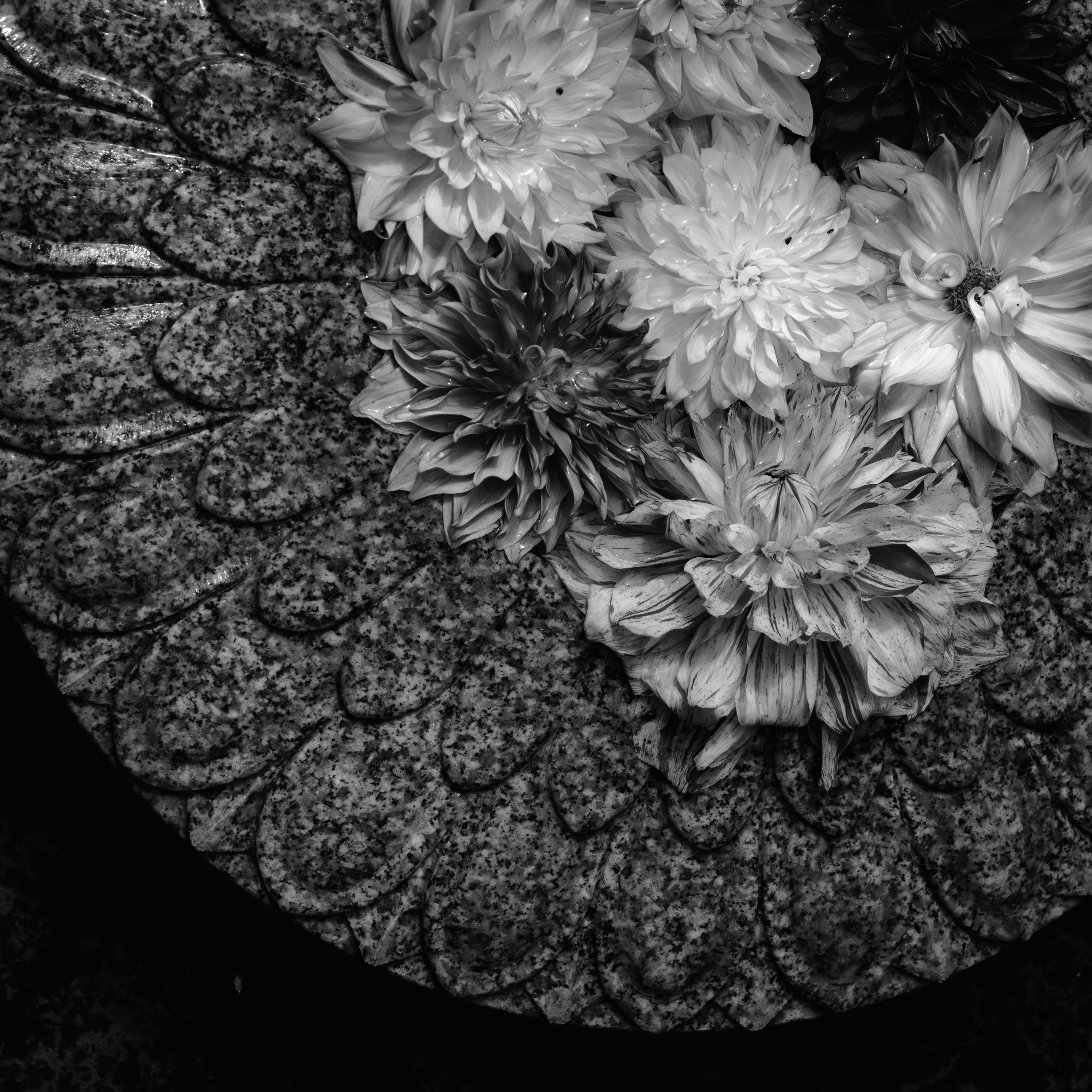 Beautiful design of a stone dish with white flowers floating on it