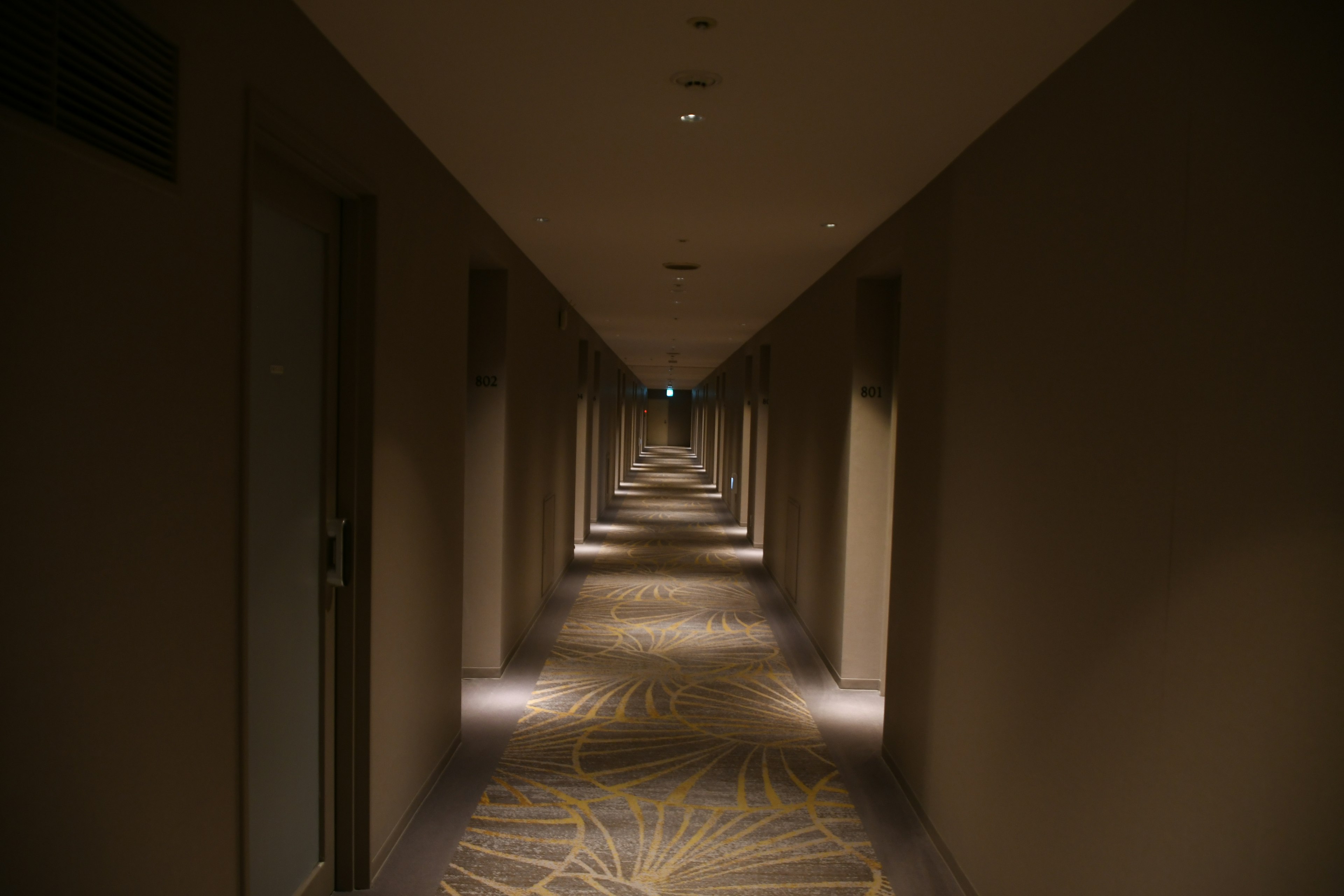 A dimly lit hotel corridor with doors on each side