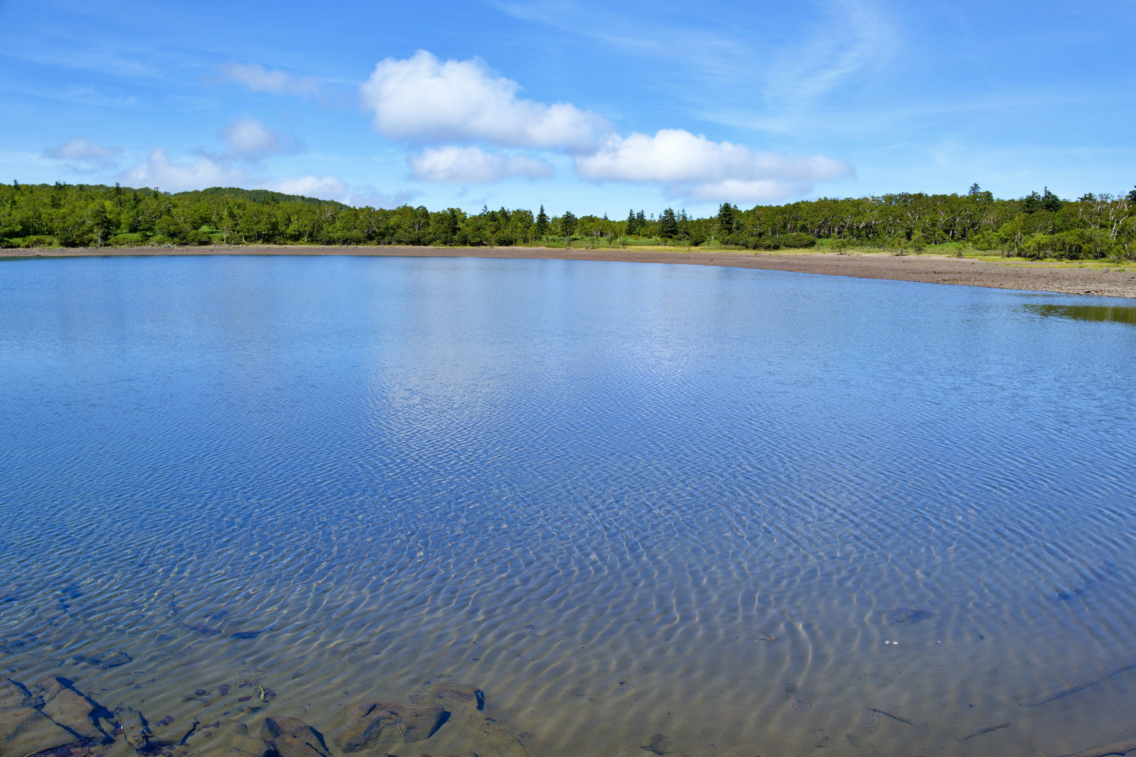 Lago tranquilo que refleja el cielo azul y los árboles verdes