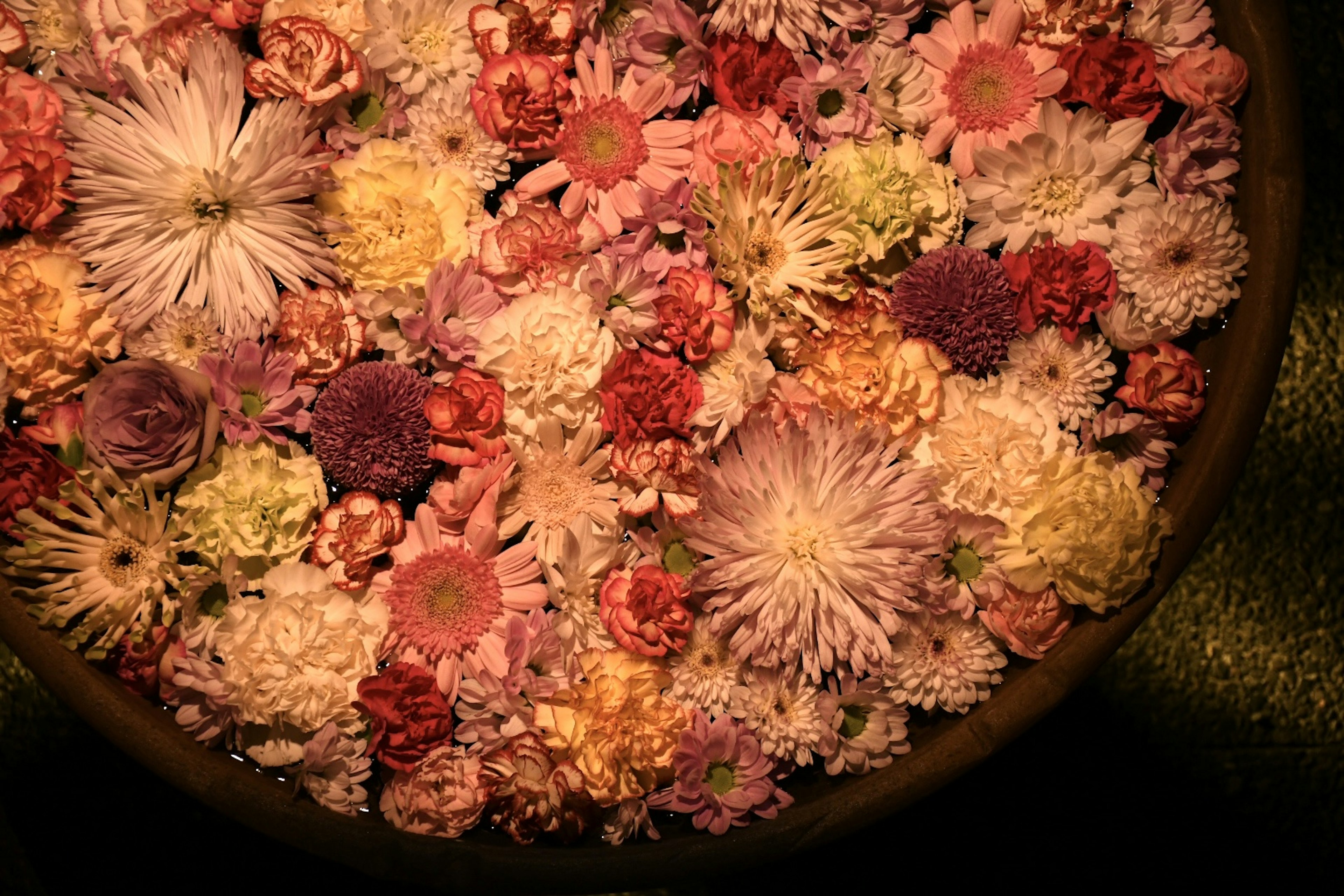 A top view of a bowl filled with colorful floating flowers