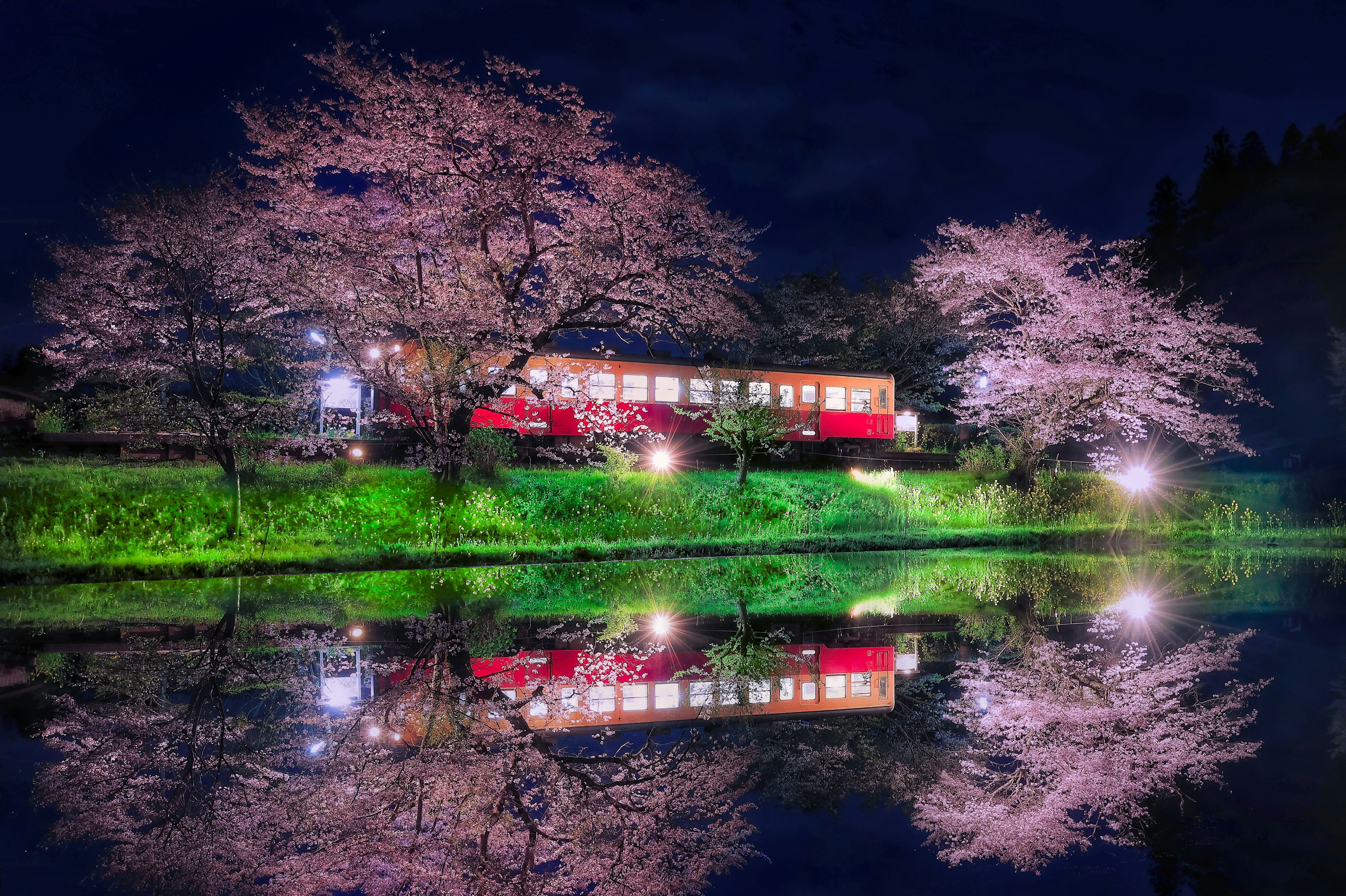 Pemandangan danau tenang dengan bunga sakura dan kereta di malam hari