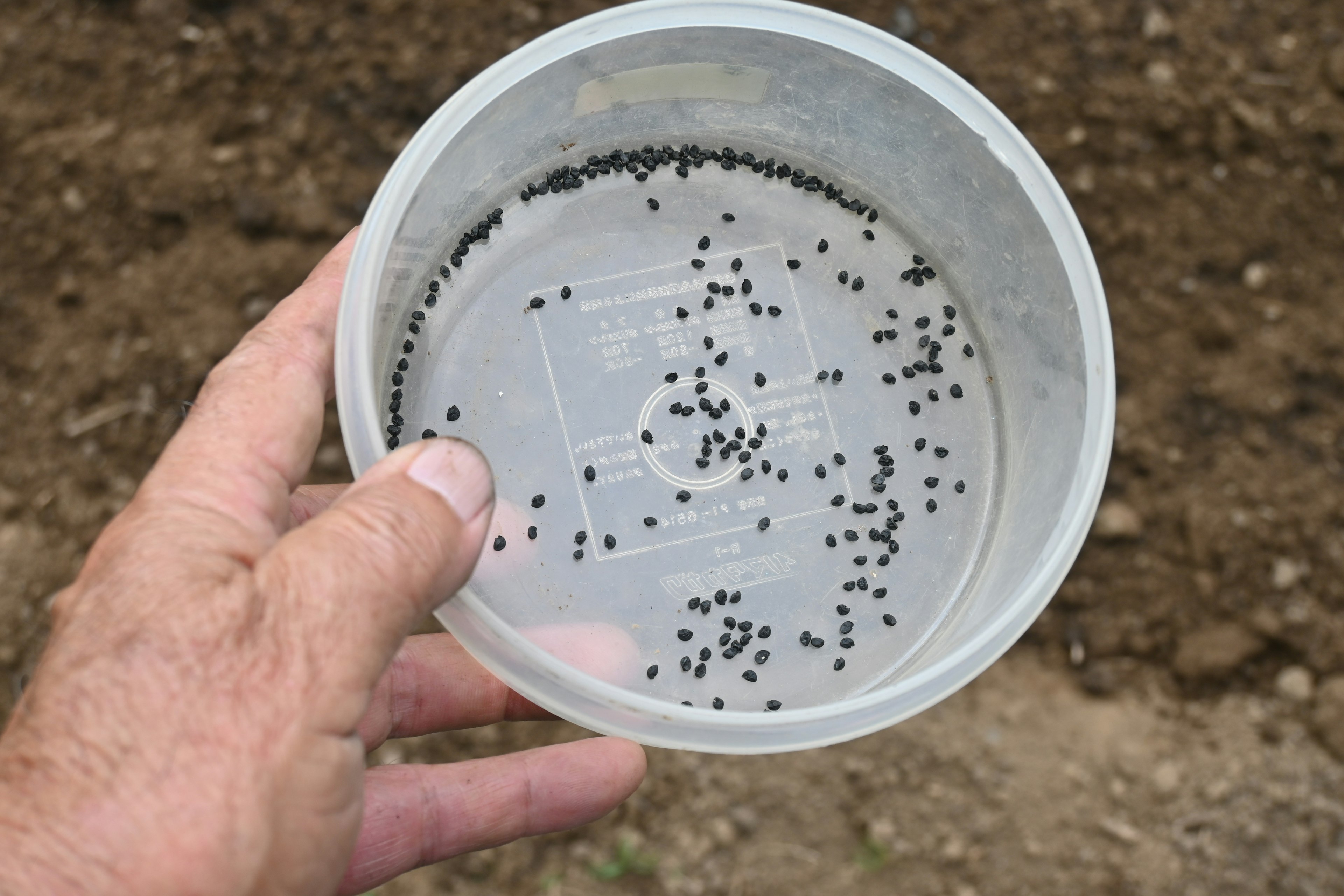 A hand holding a clear container filled with small black seeds