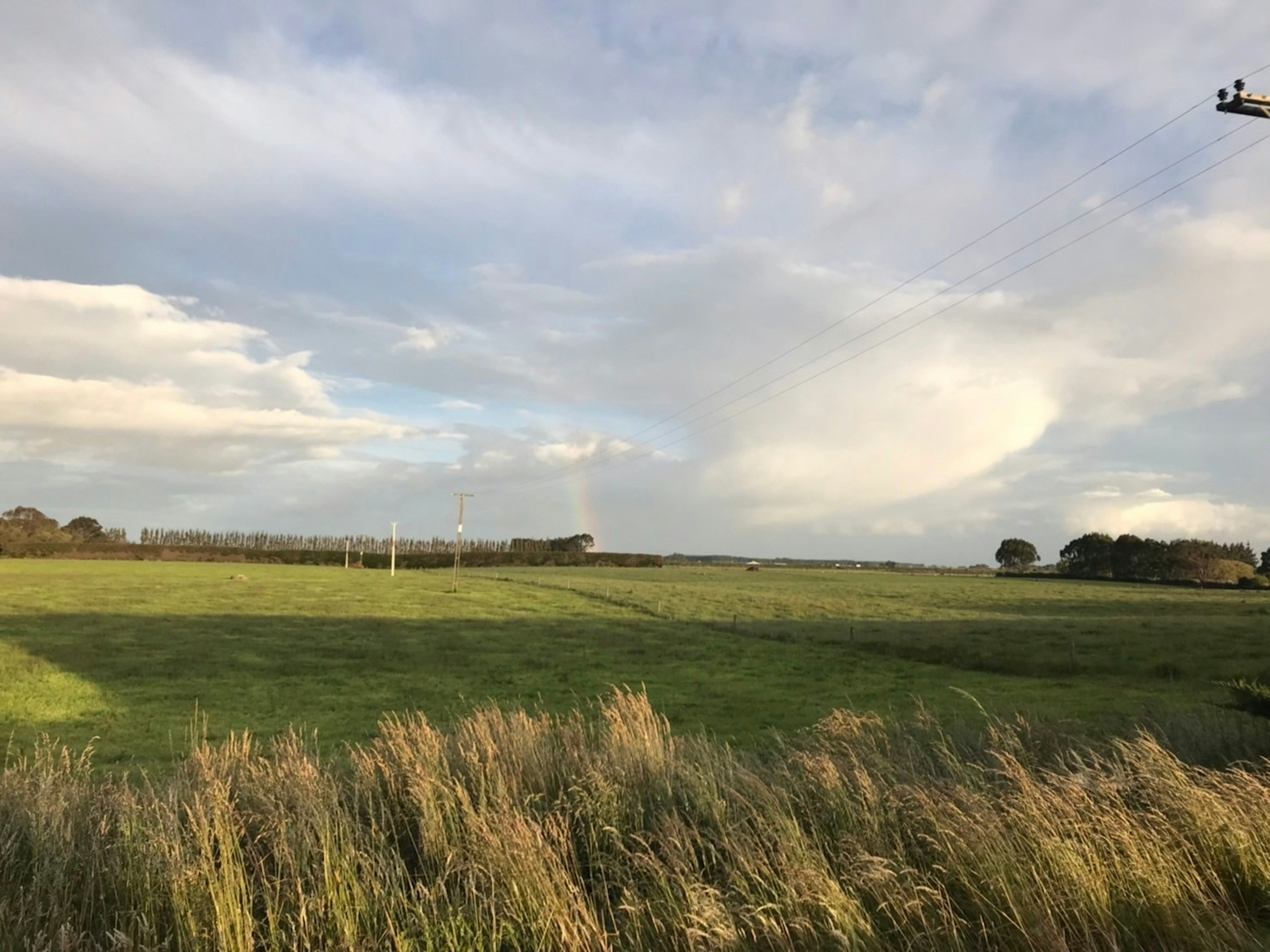 Campo verde expansivo bajo un cielo azul