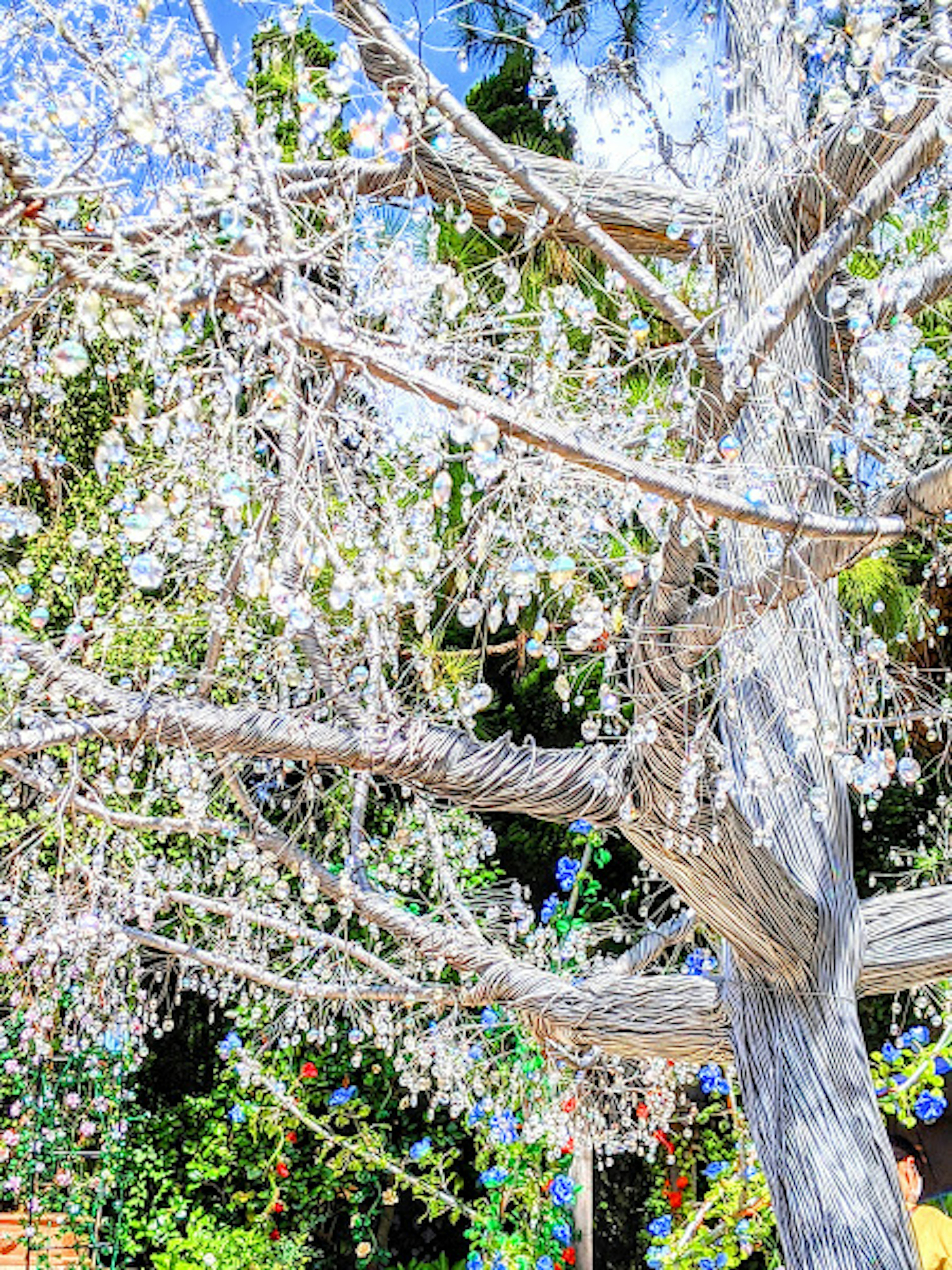 Foto dettagliata di un albero con fiori bianchi