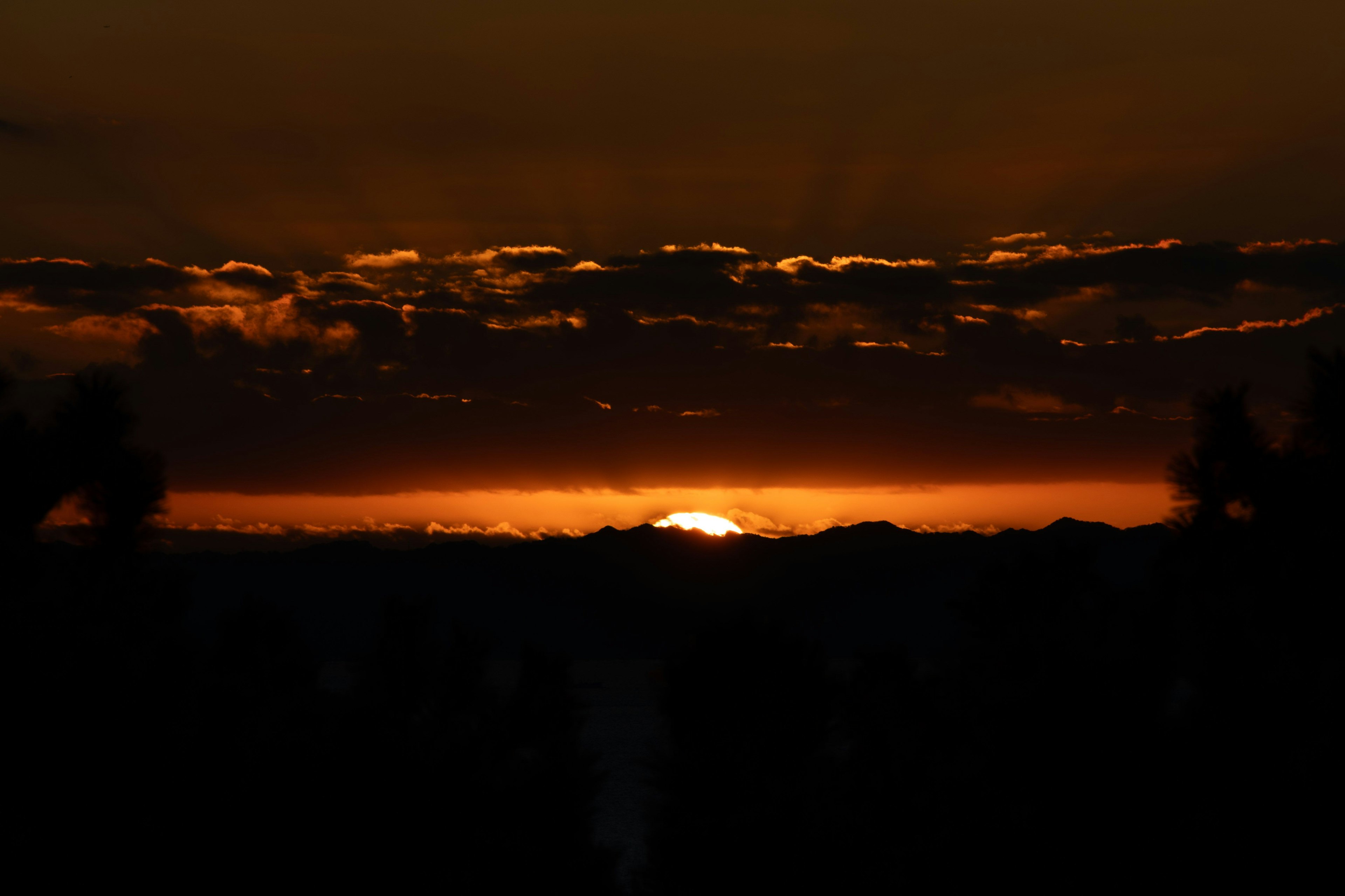 夕日が沈む美しい風景 黒いシルエットの木々とオレンジ色の空