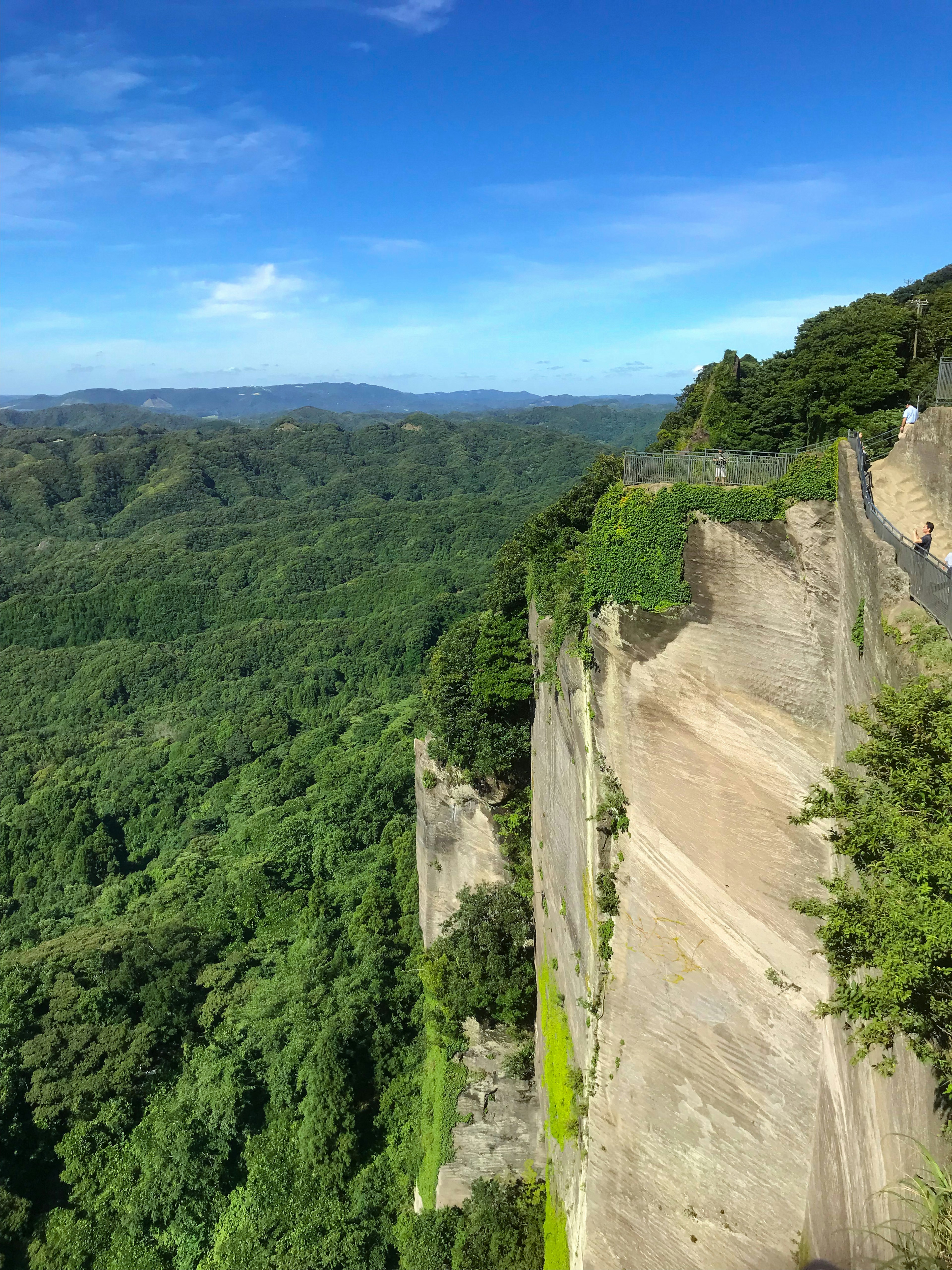 Vue panoramique d'une falaise avec des montagnes verdoyantes en arrière-plan