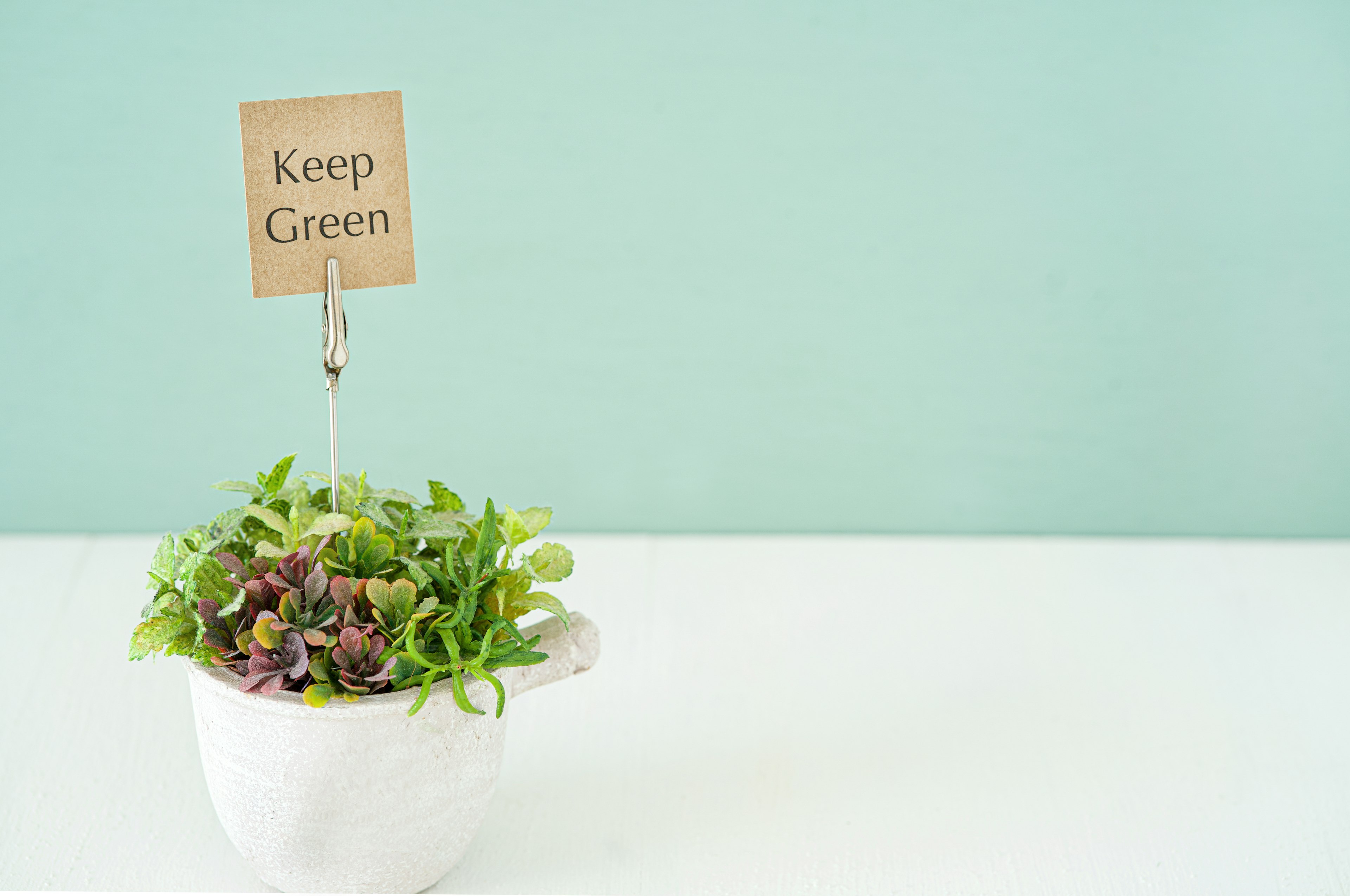 Una maceta blanca con plantas verdes y un letrero que dice Keep Green