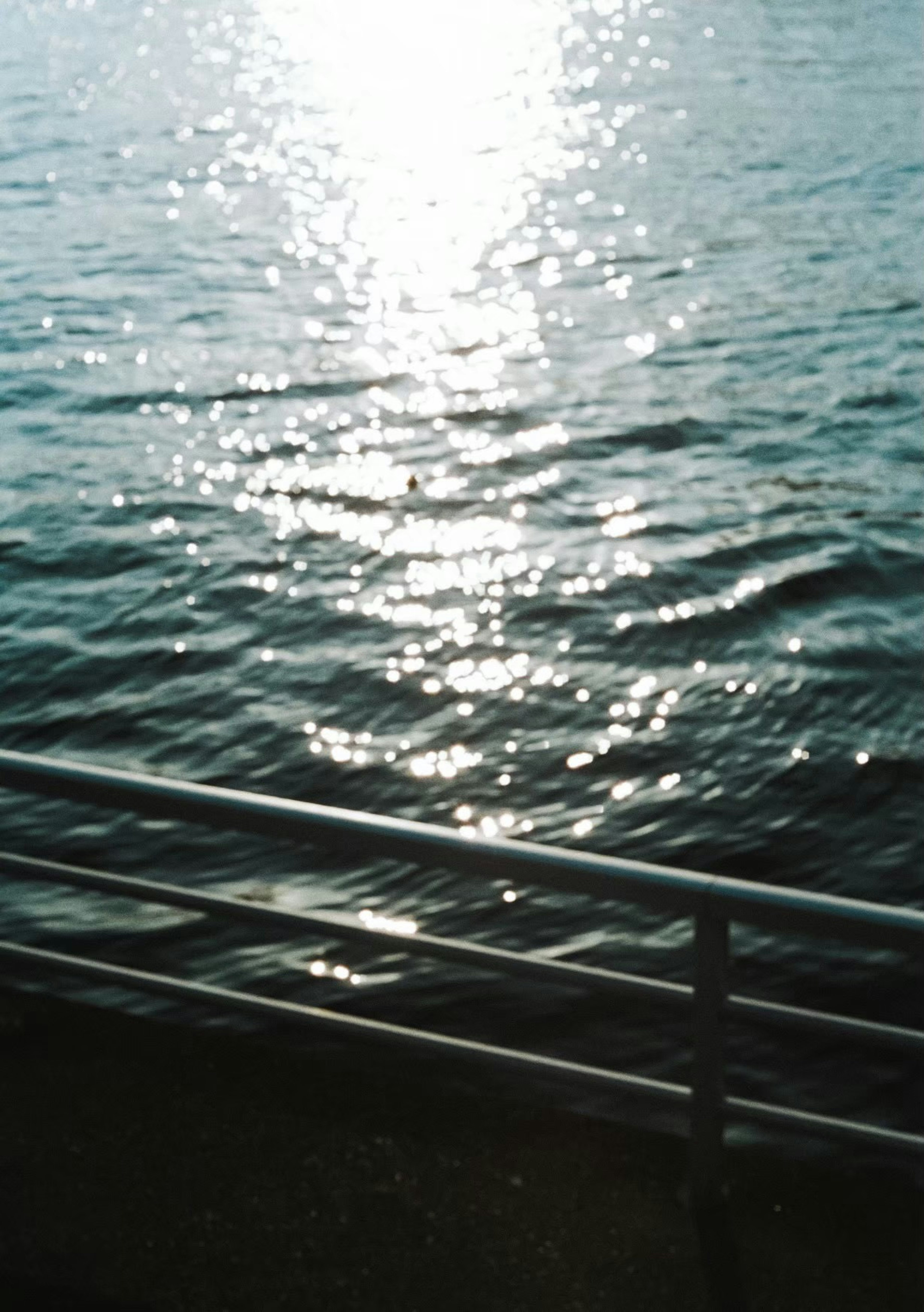 Une surface d'eau scintillante avec des reflets et des vagues douces